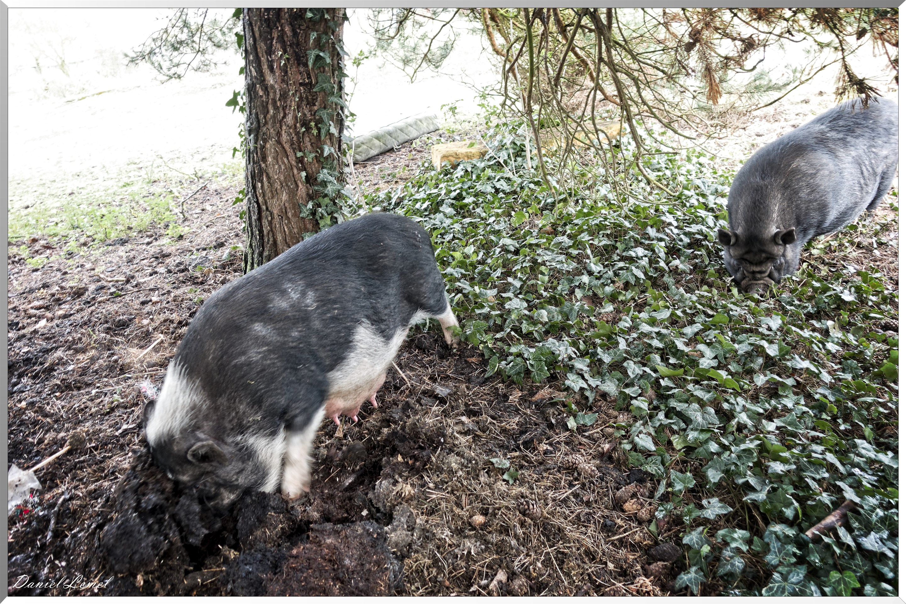 Bonnières-sur-Seine