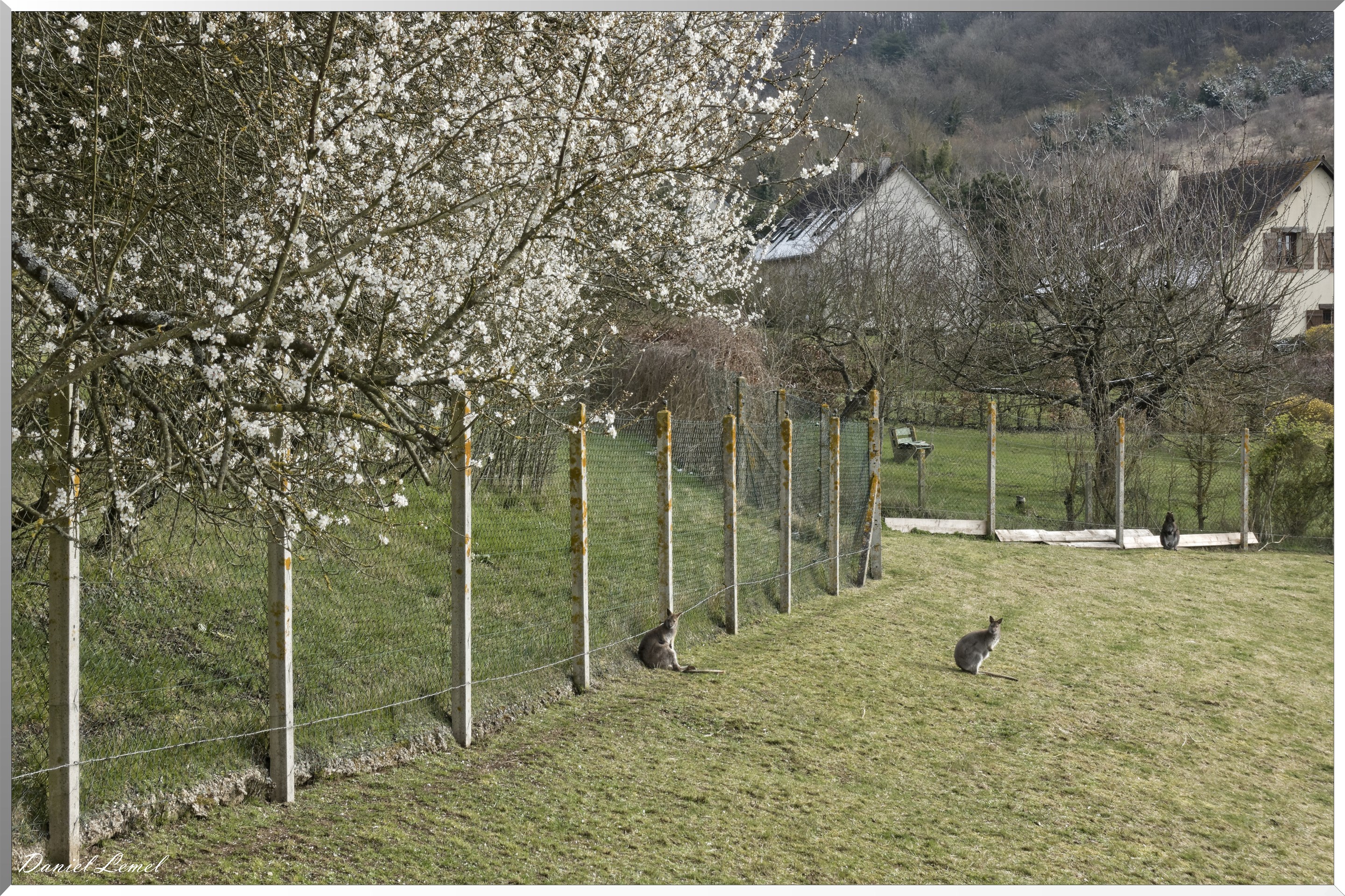 Giverny
