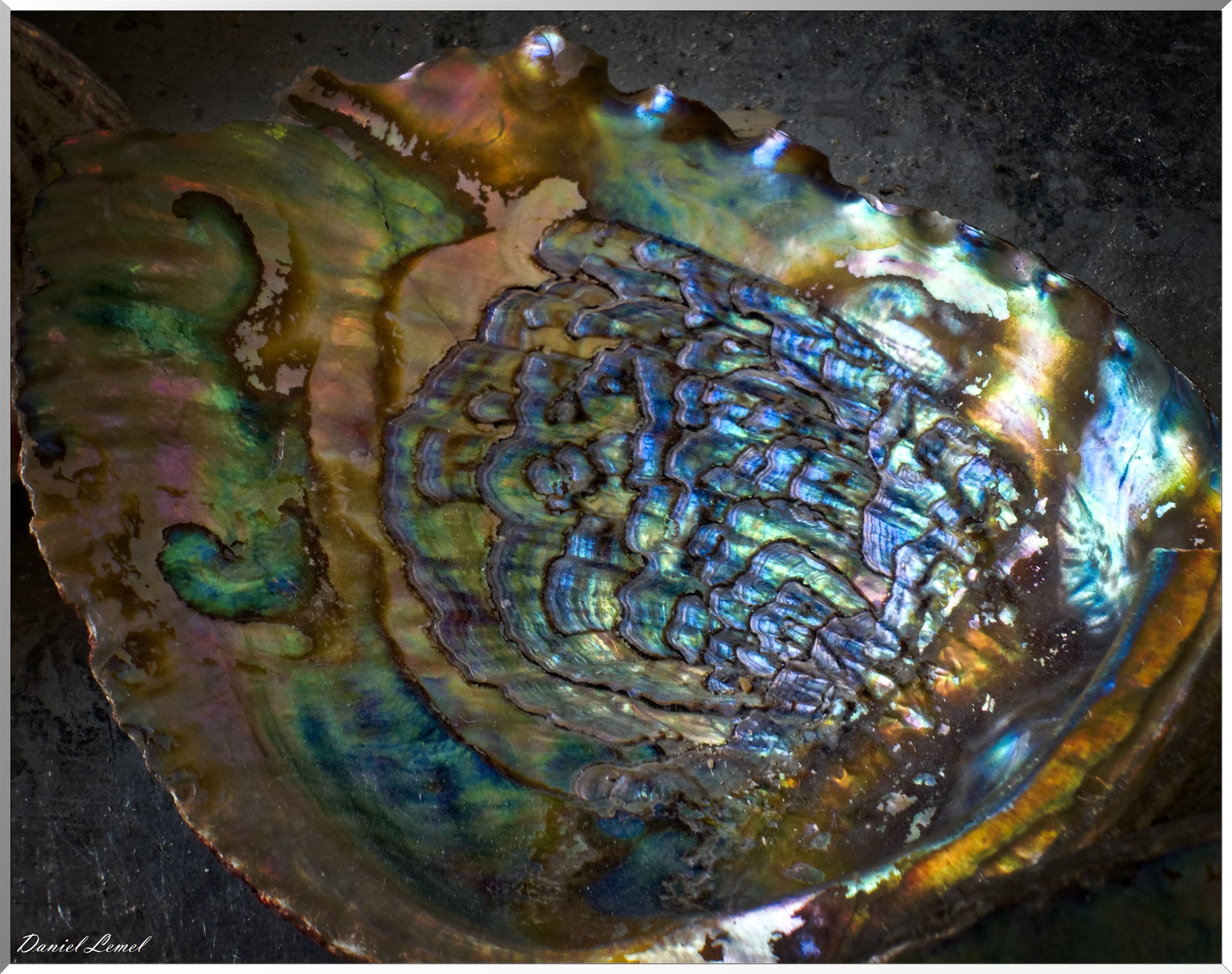 Méru - Musée de la Nacre et de la Tabletterie