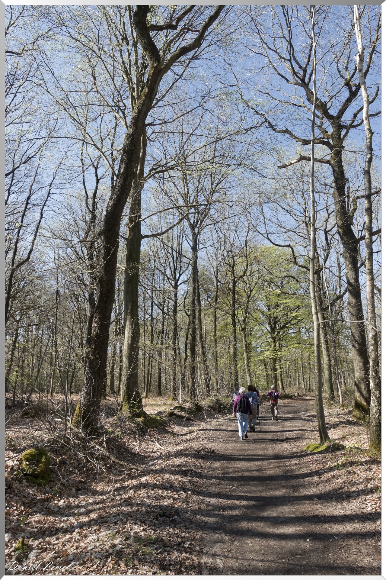 Neuville-Bosc