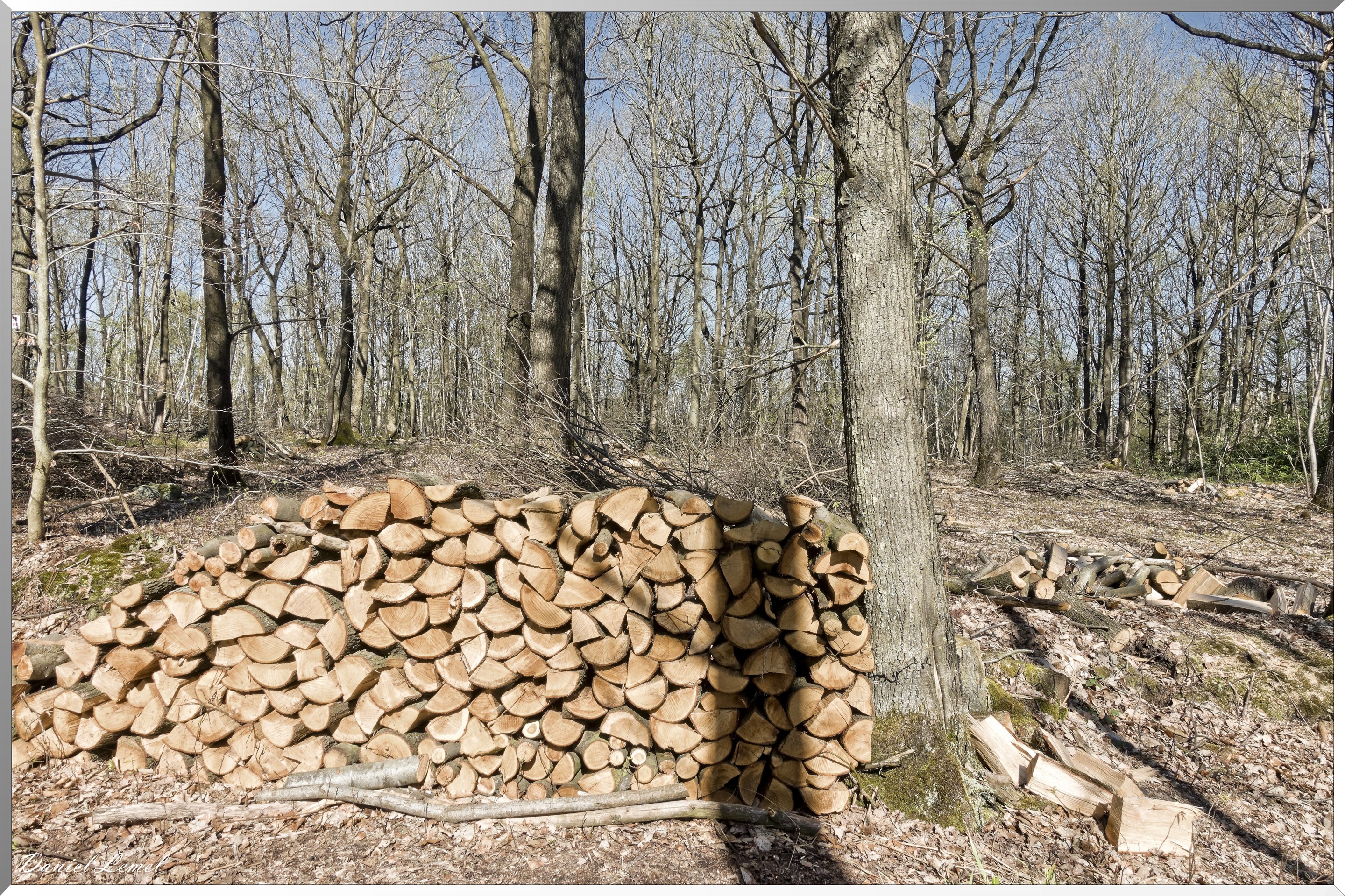 Neuville-Bosc