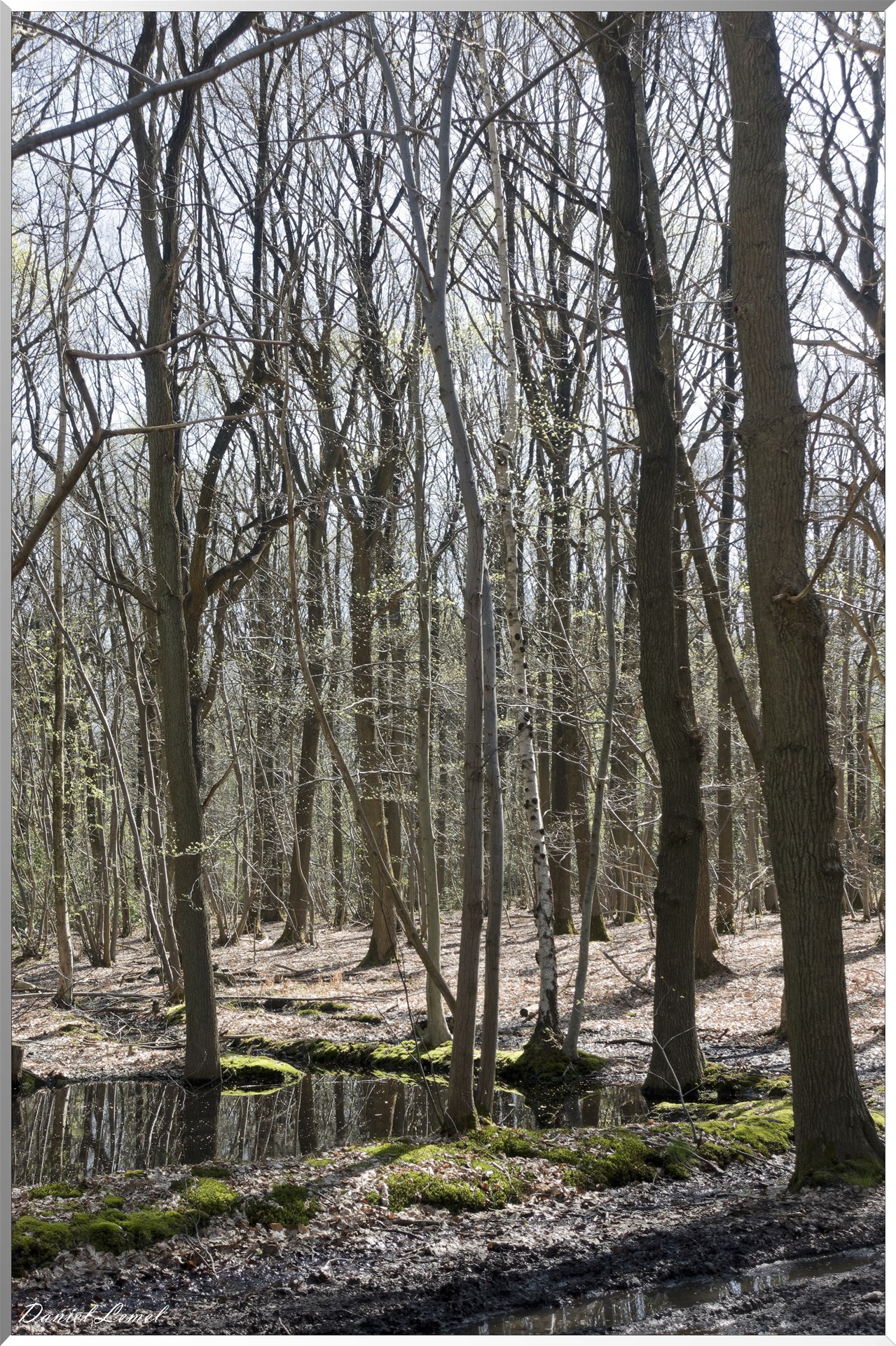 Neuville-Bosc
