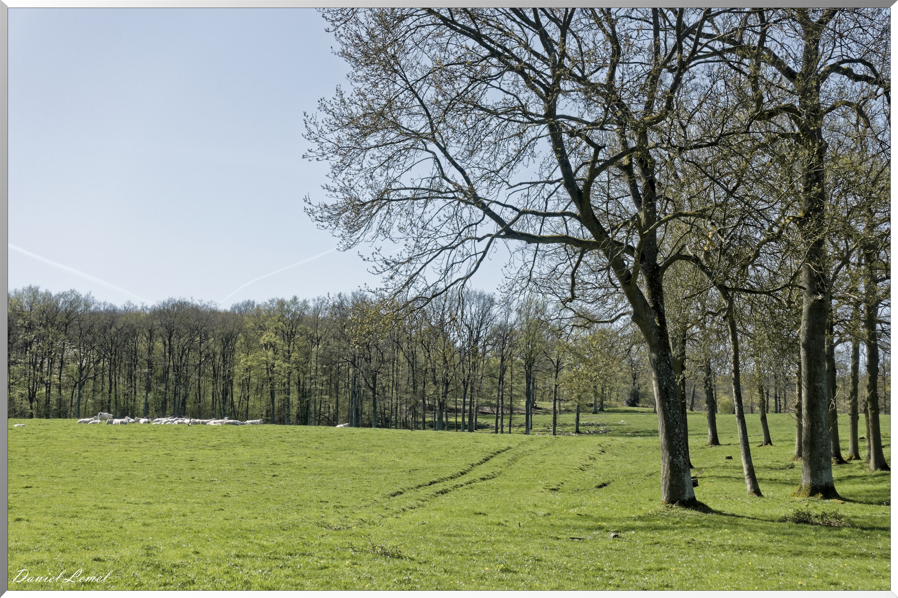 Neuville-Bosc