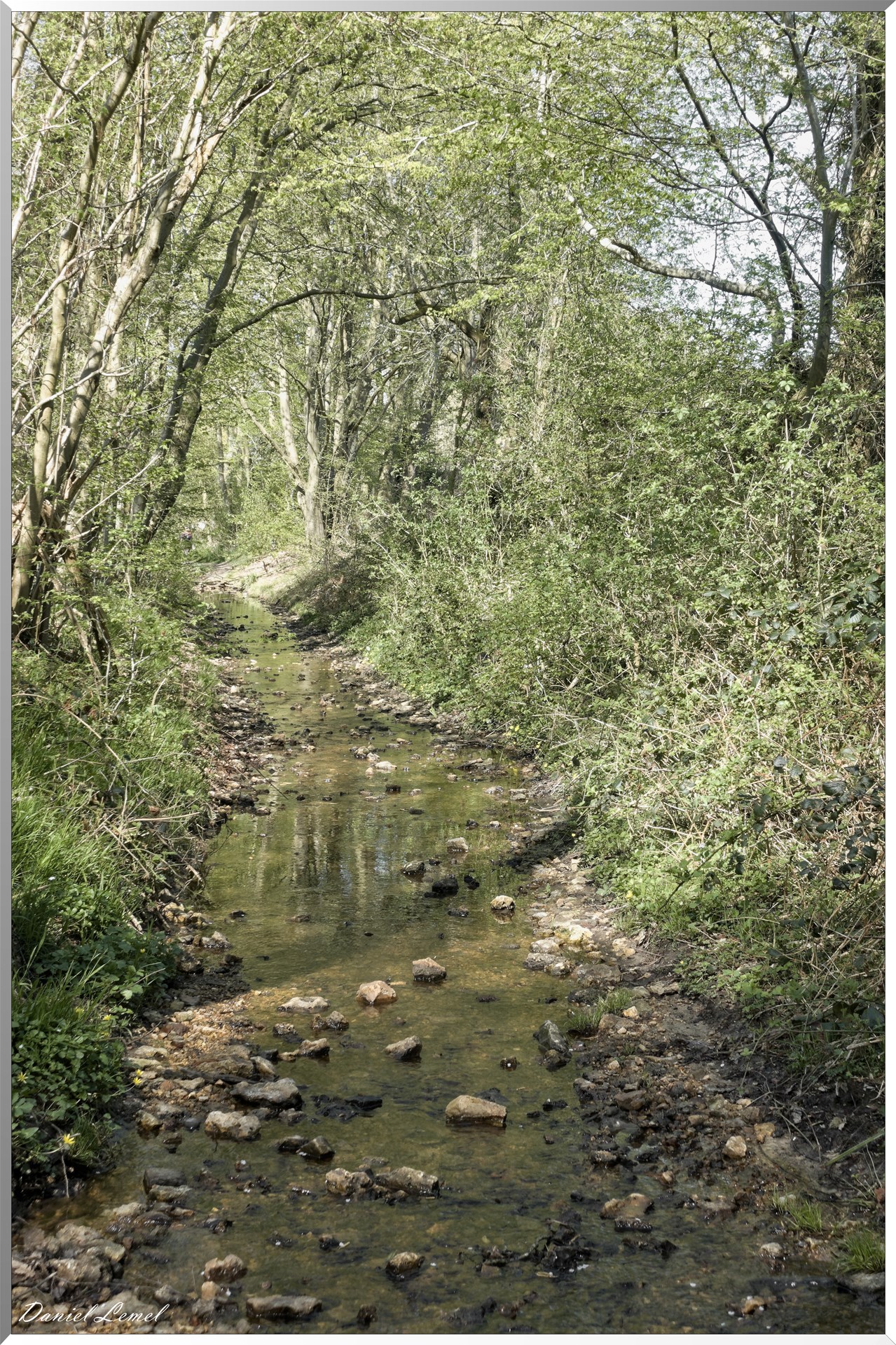 Neuville-Bosc
