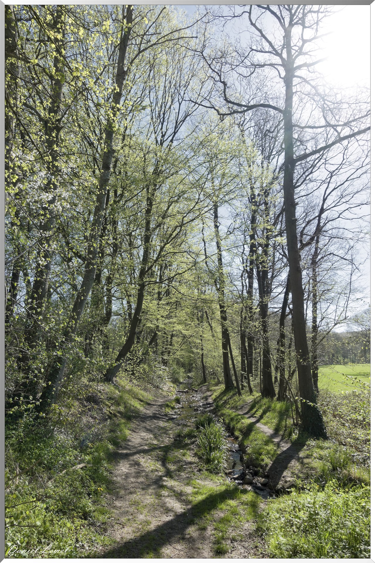 Neuville-Bosc