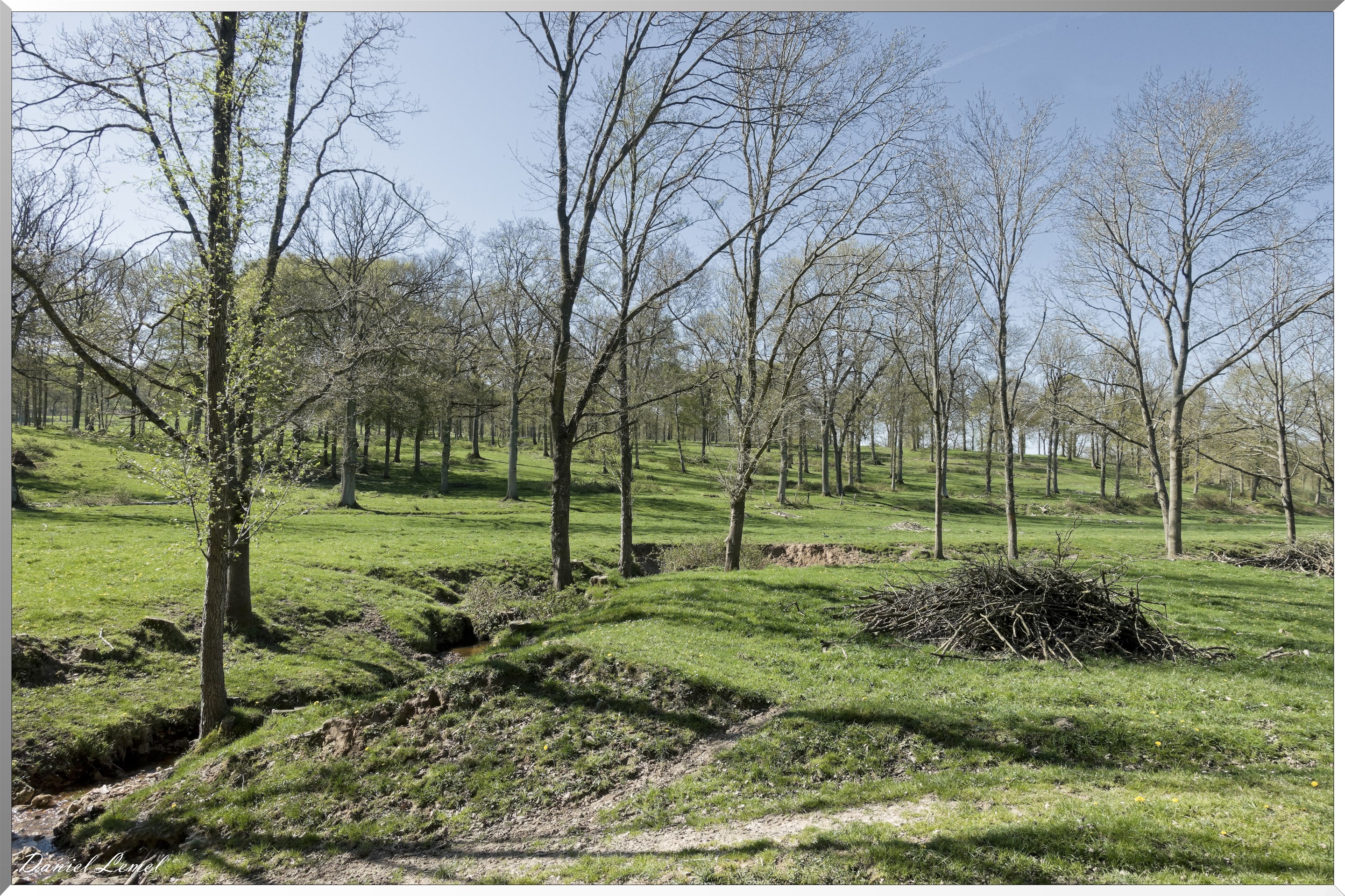 Neuville-Bosc