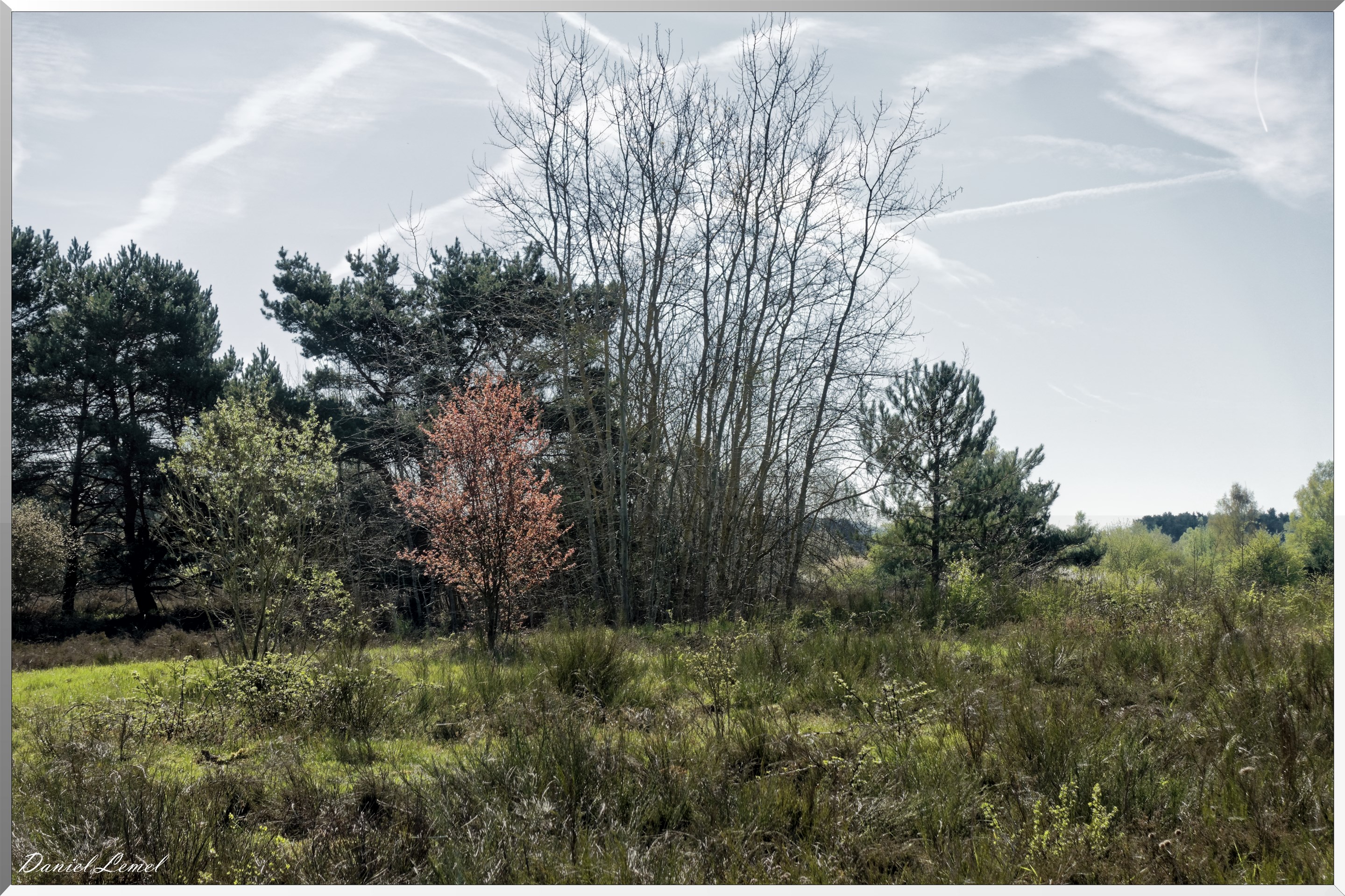 Moisson