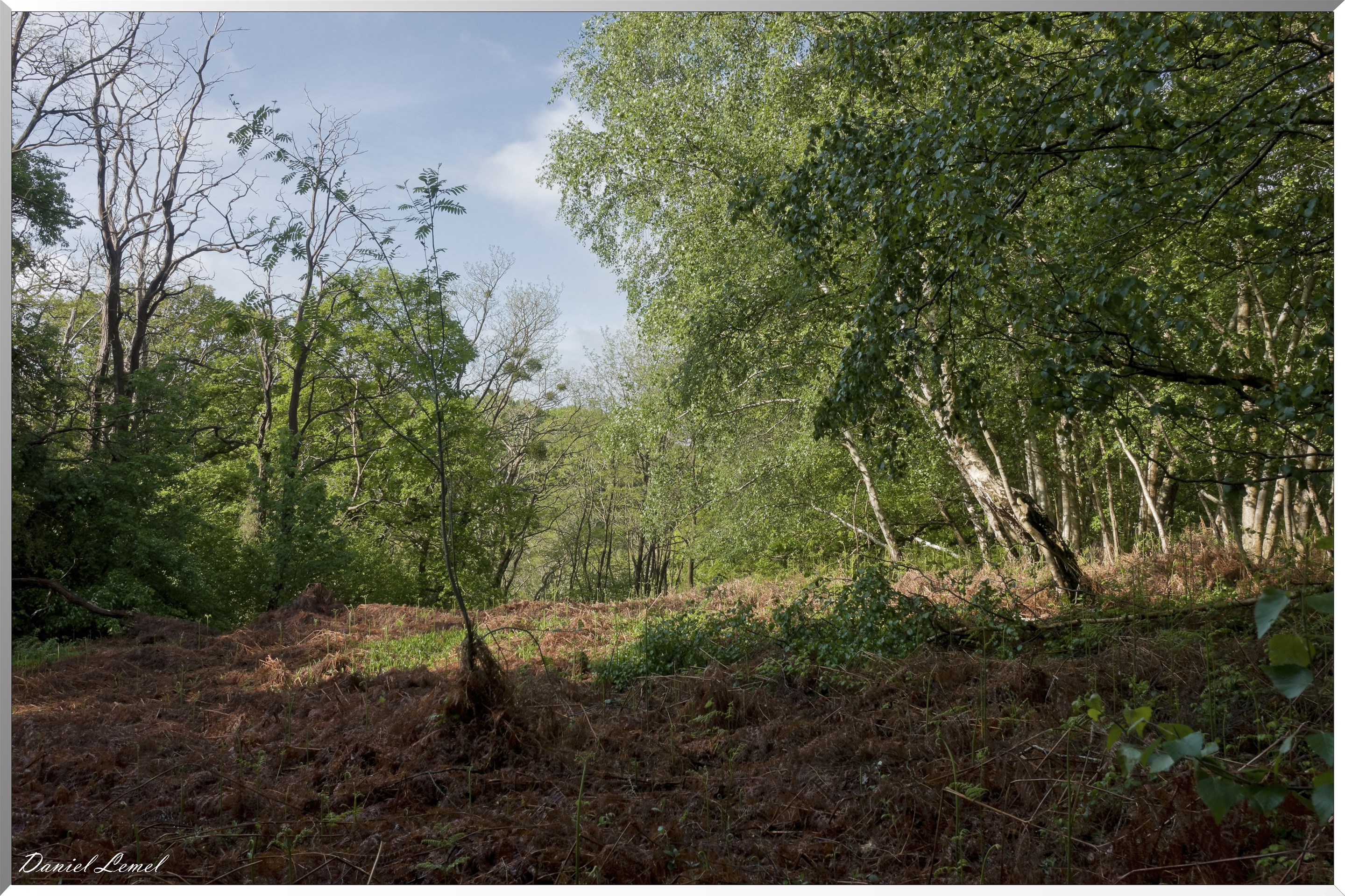 Plateau de l'espace - Vernon