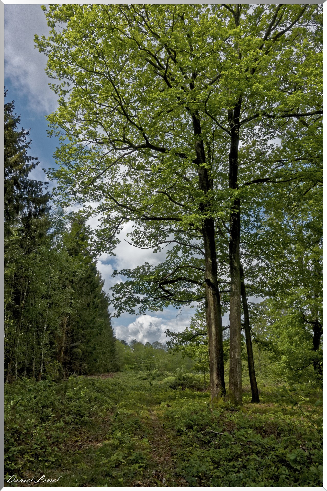 Plateau de l'espace - Vernon