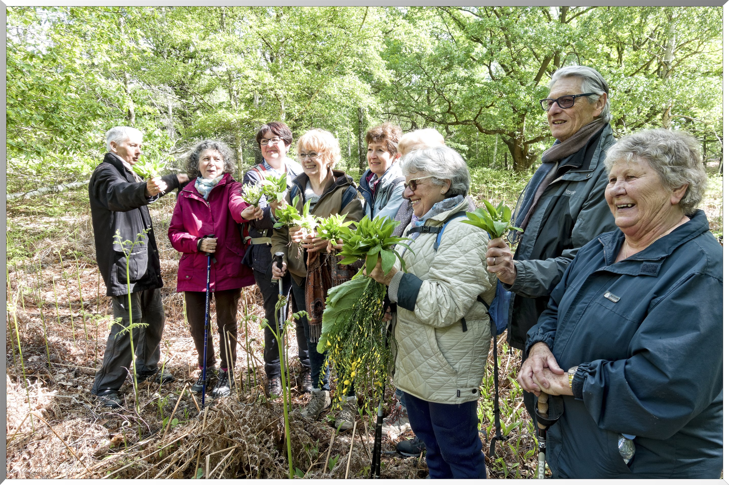 Plateau de l'espace - Vernon