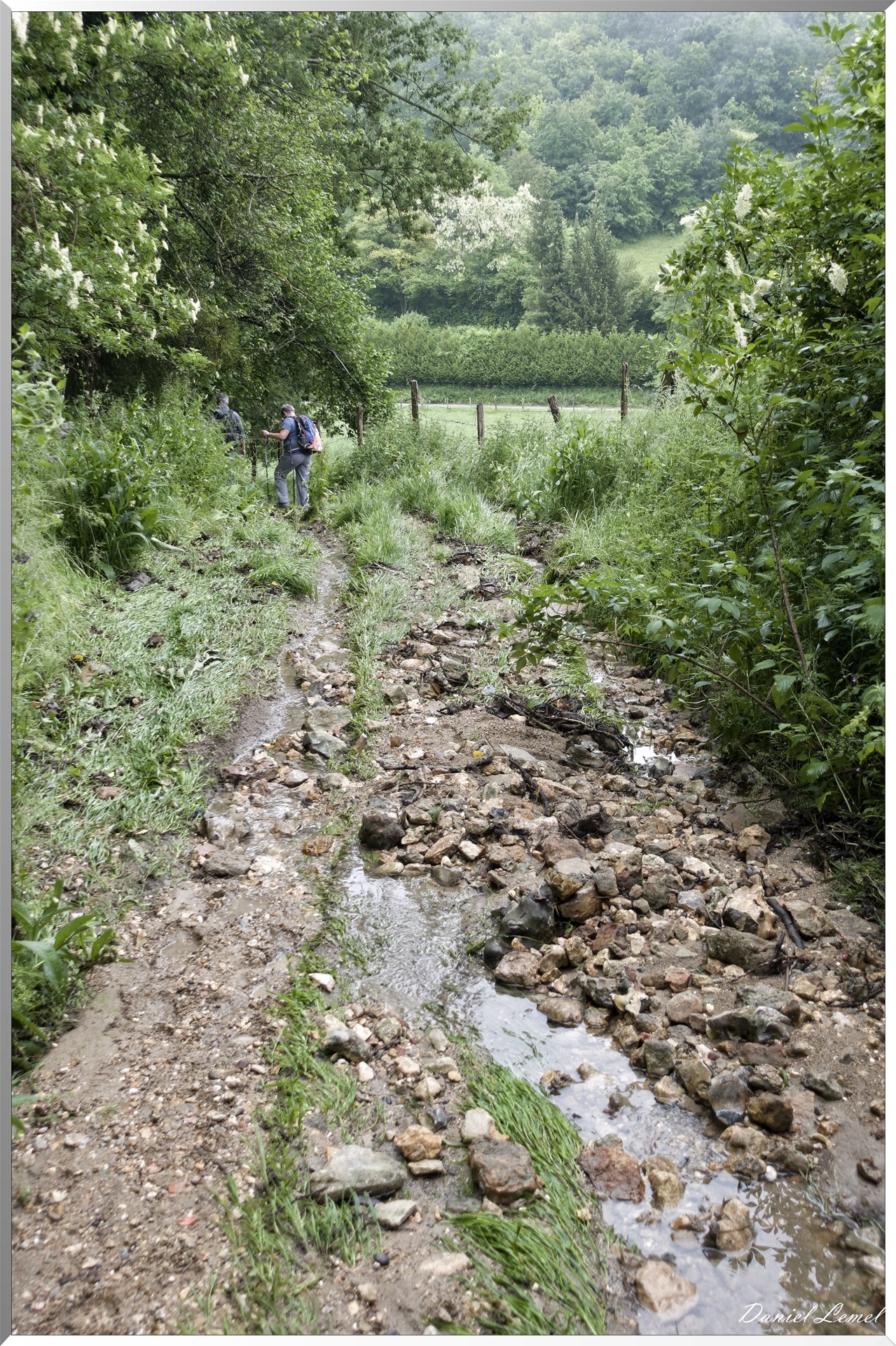 Saint-Pierre-de-Bailleul