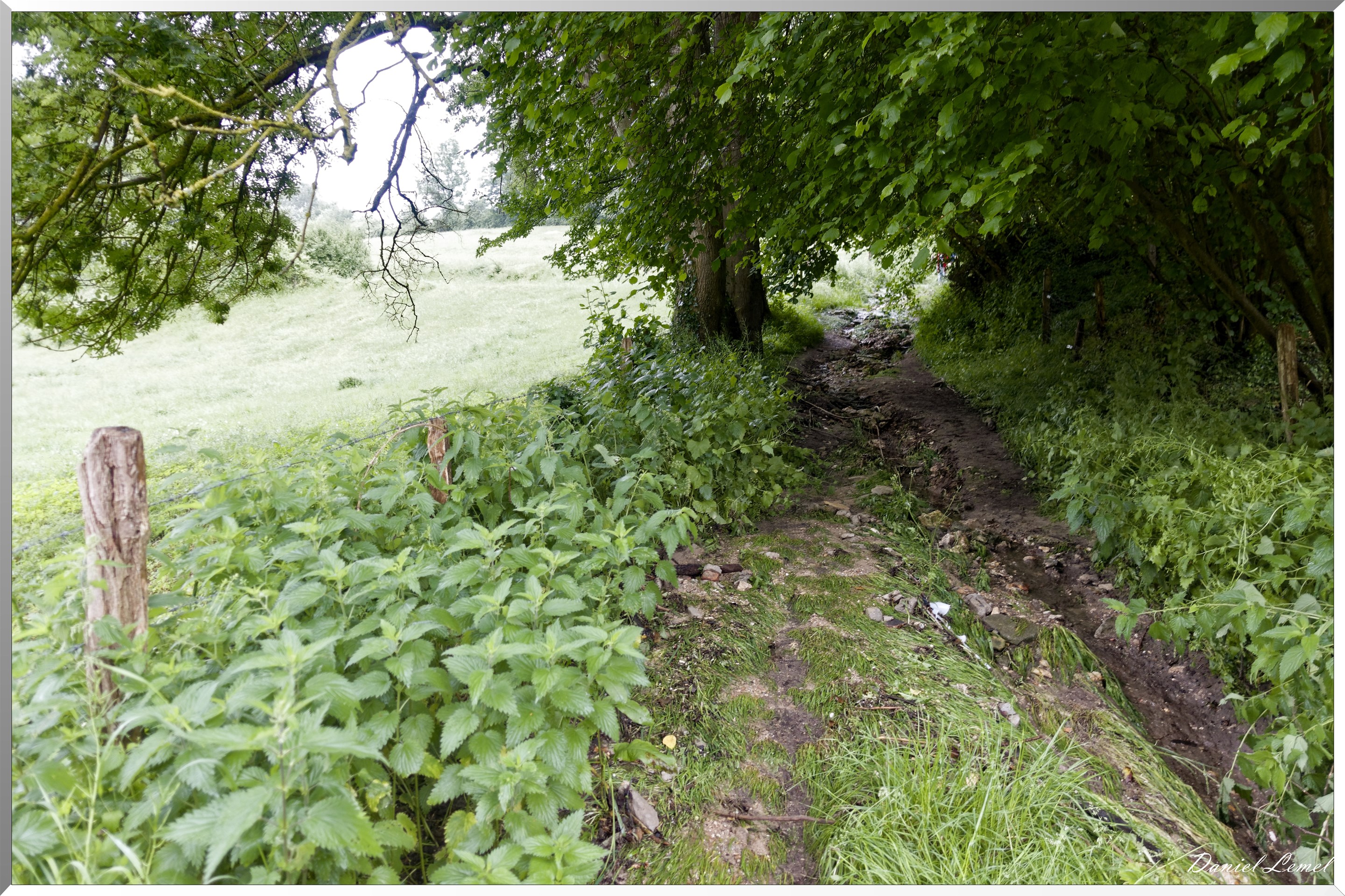 Saint-Pierre-de-Bailleul