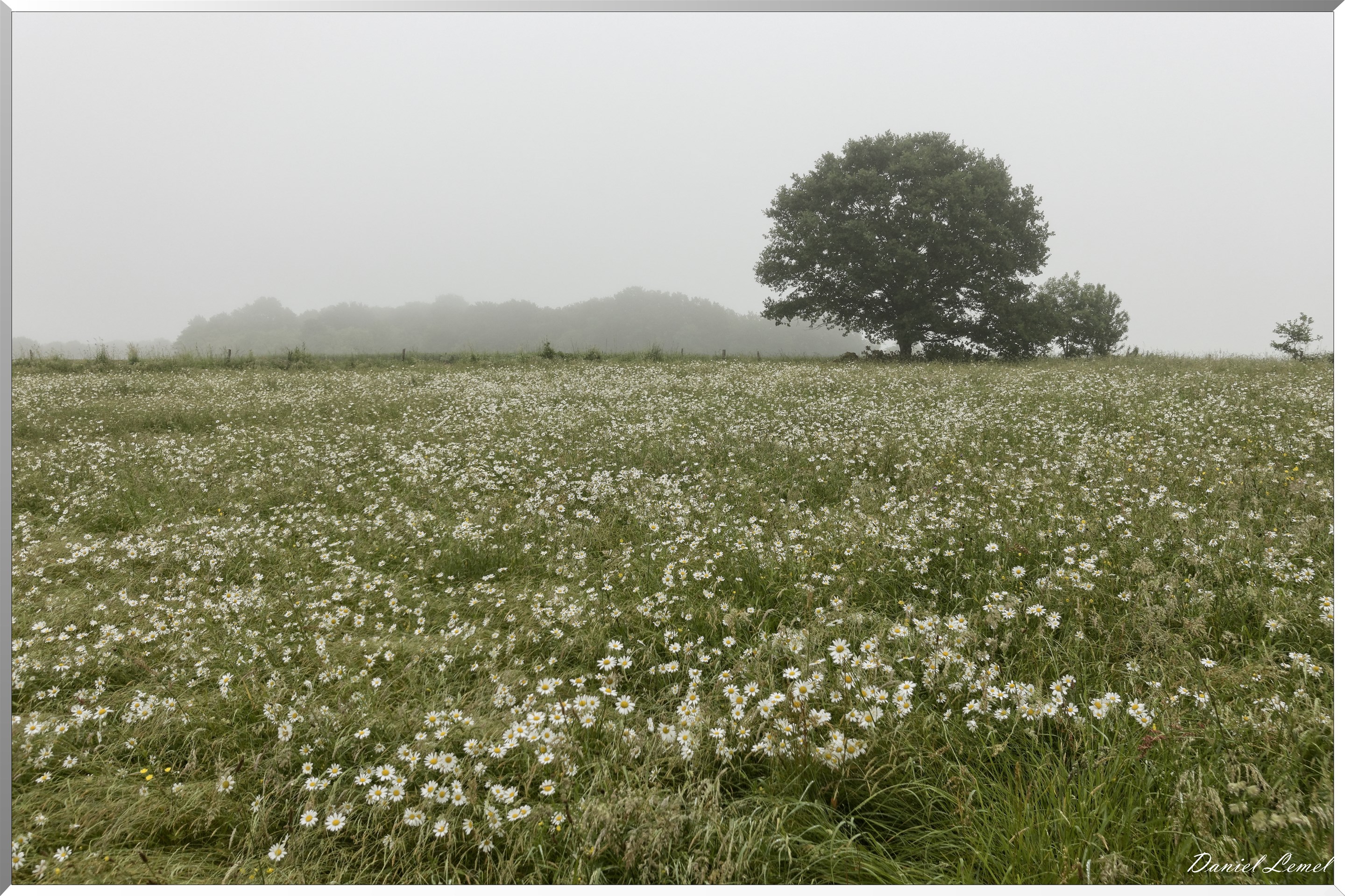 Saint-Pierre-de-Bailleul