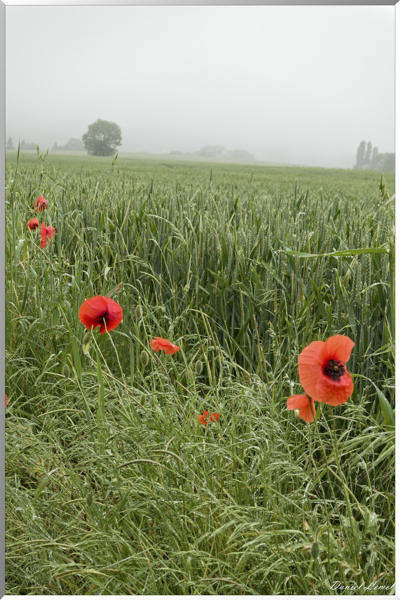 Saint-Pierre-de-Bailleul