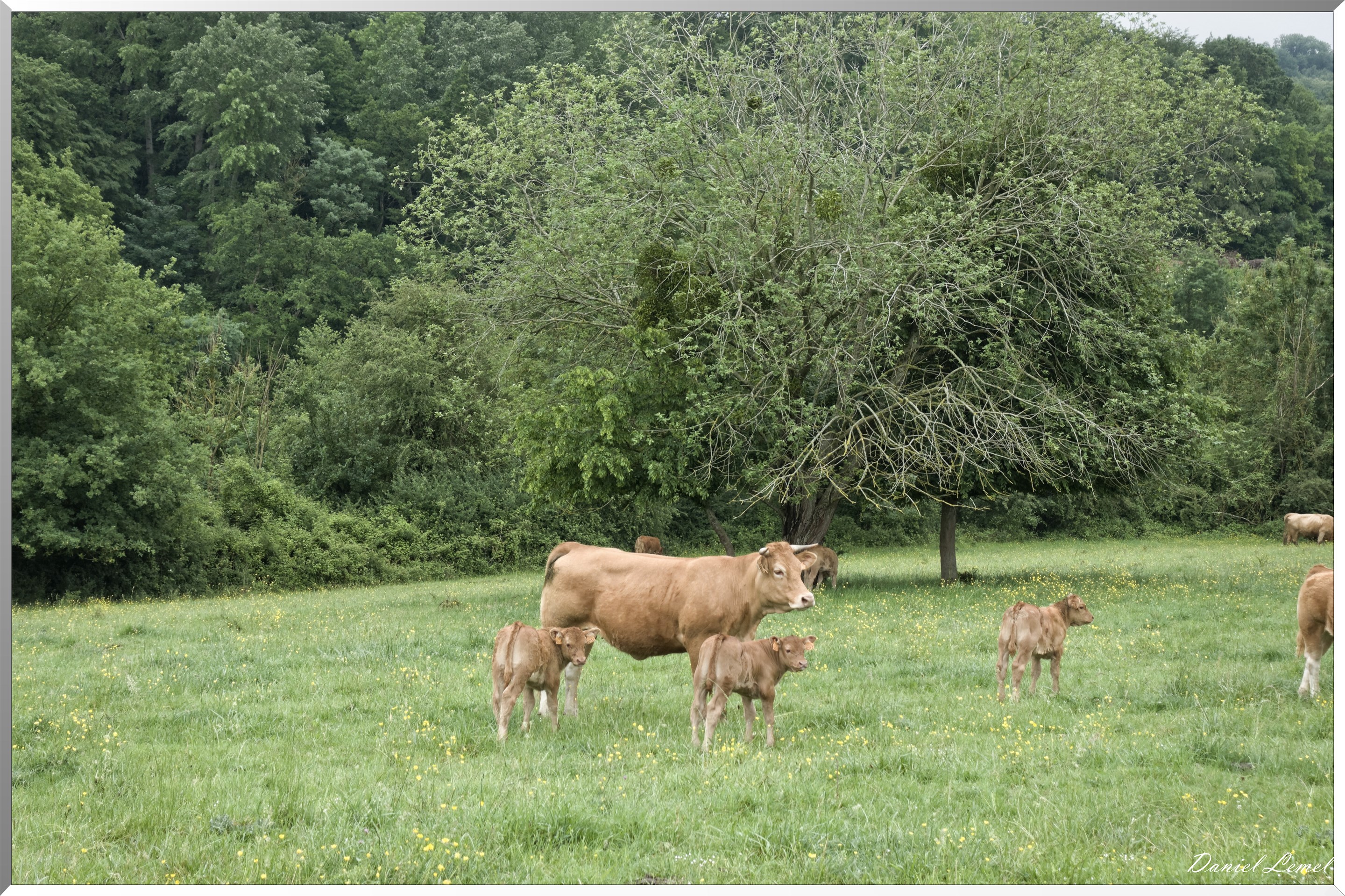 Saint-Pierre-de-Bailleul