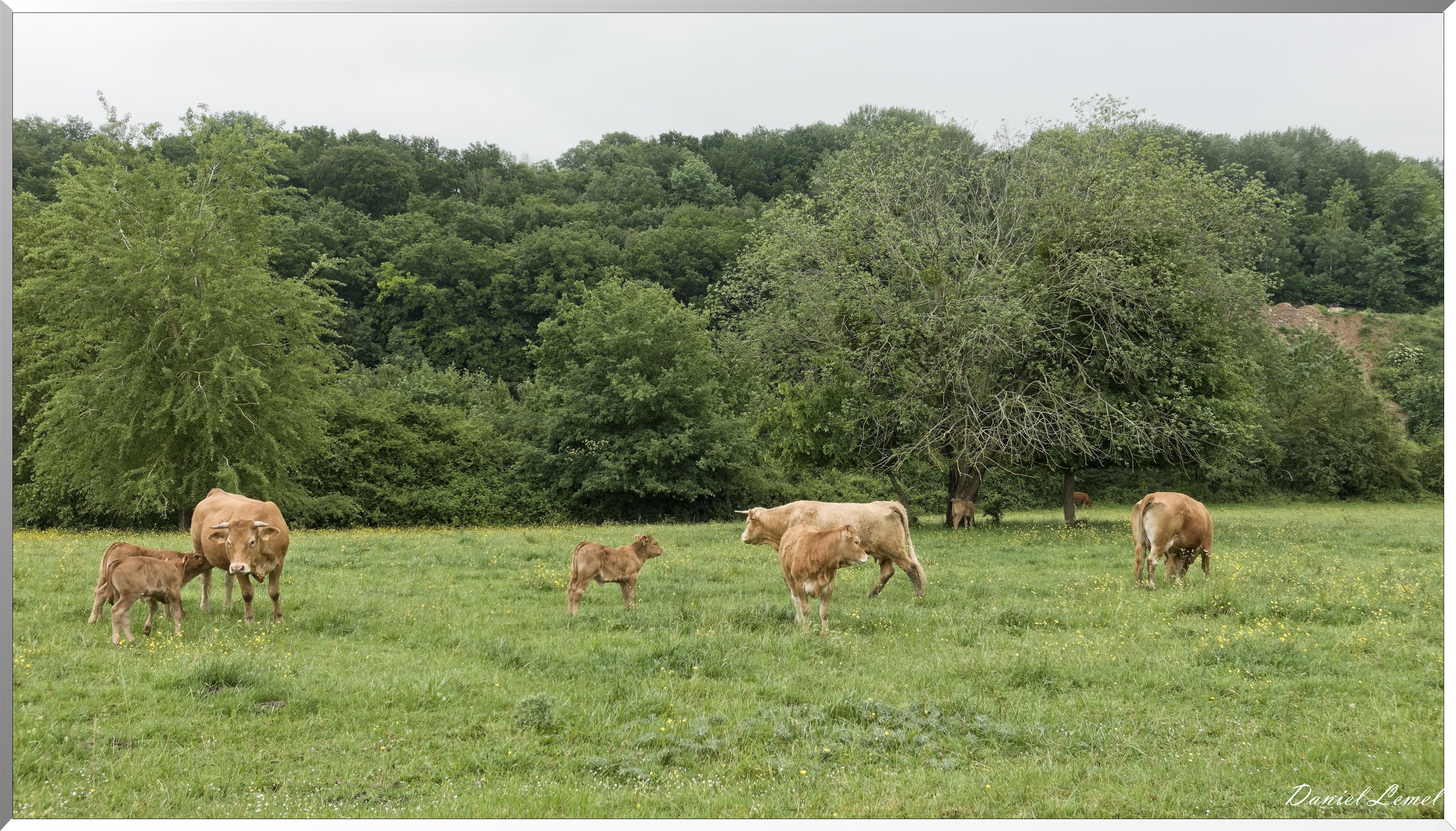 Saint-Pierre-de-Bailleul