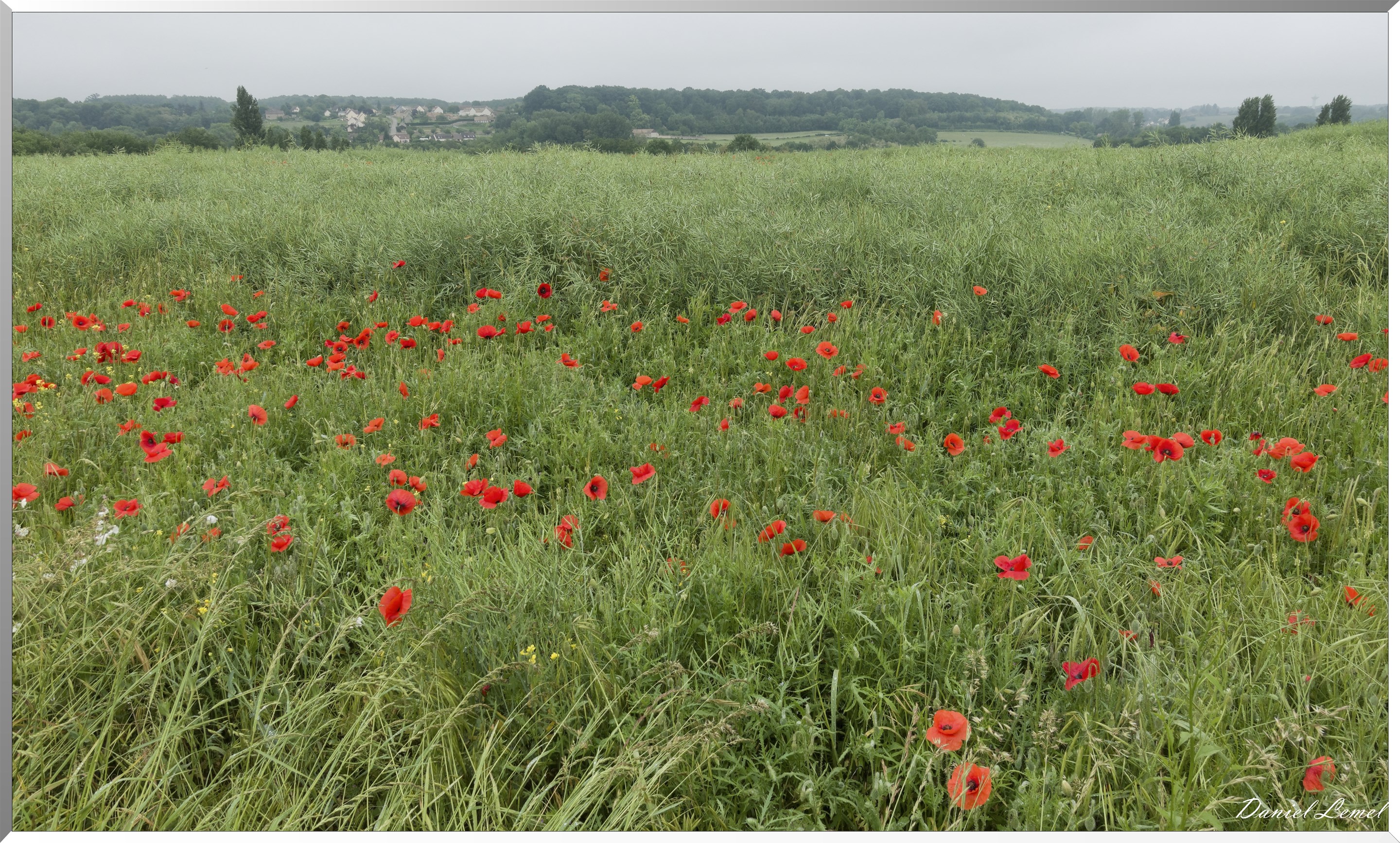 Saint-Pierre-de-Bailleul
