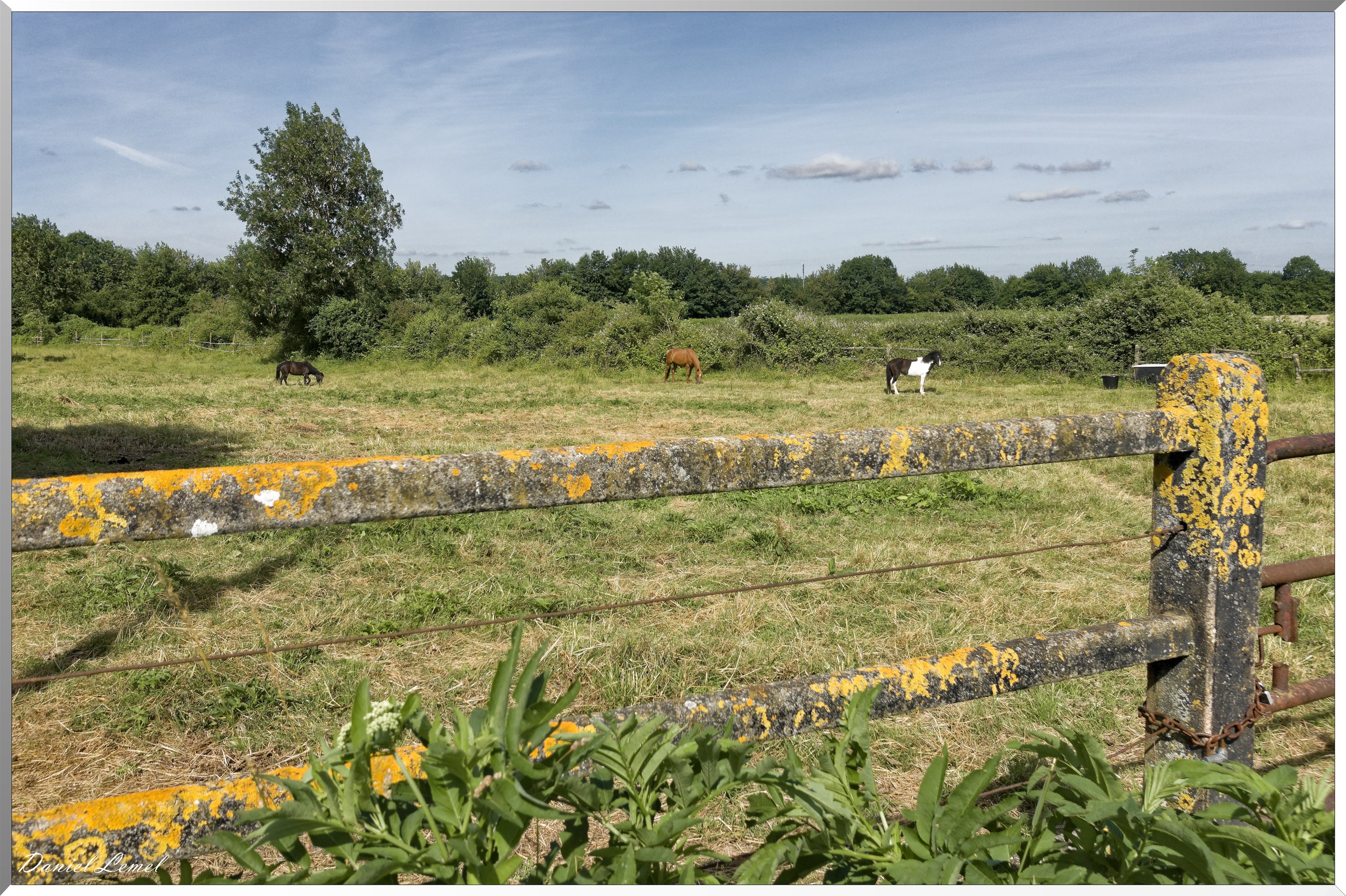 Notre-Dame-de-l'Isle