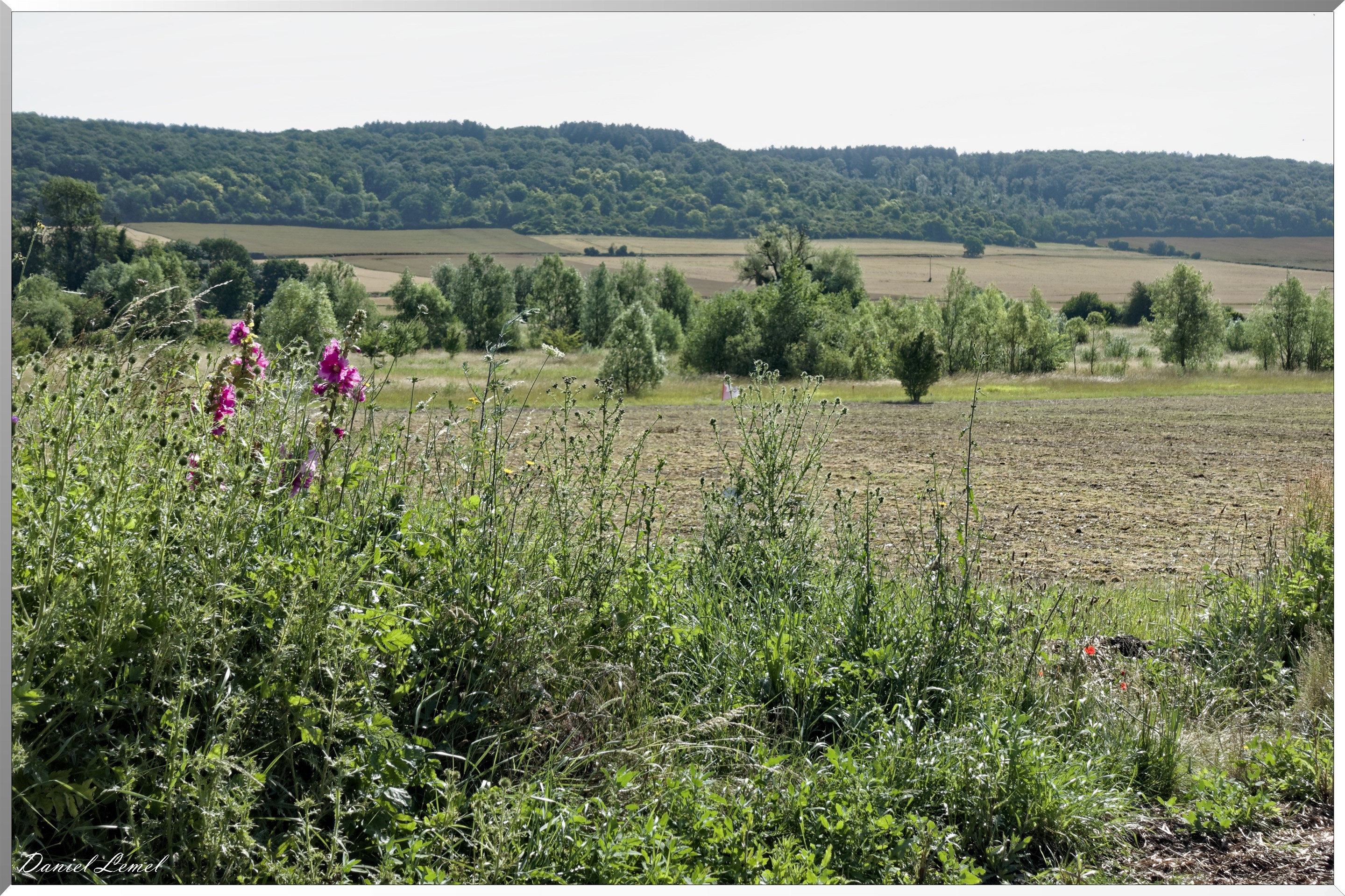 Notre-Dame-de-l'Isle