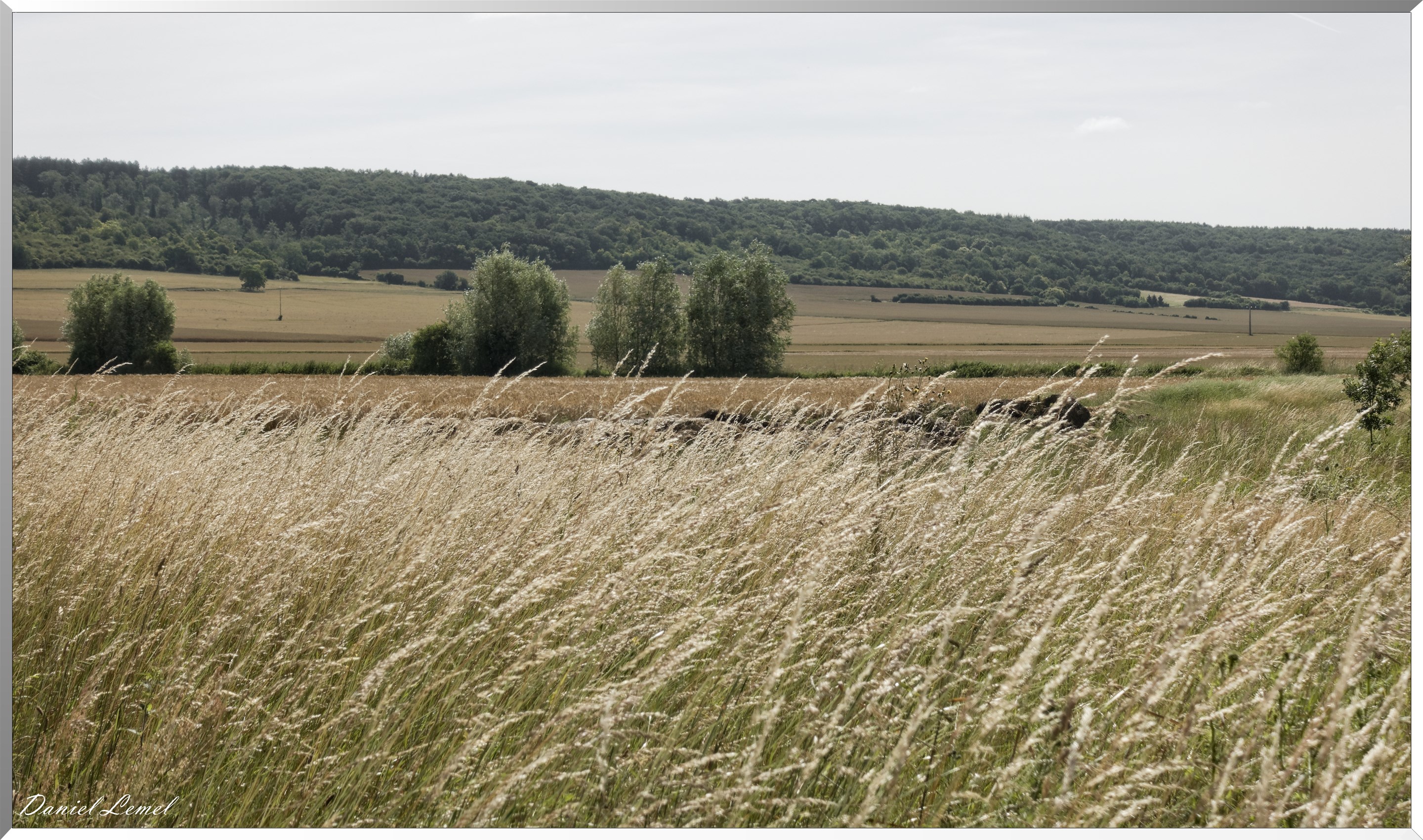 Notre-Dame-de-l'Isle