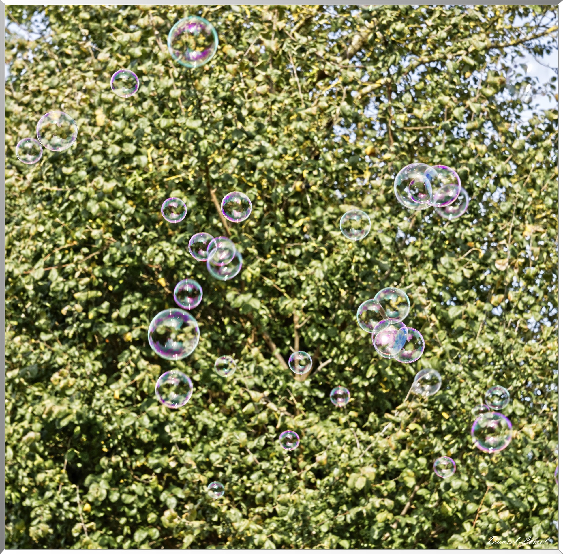 Giverny