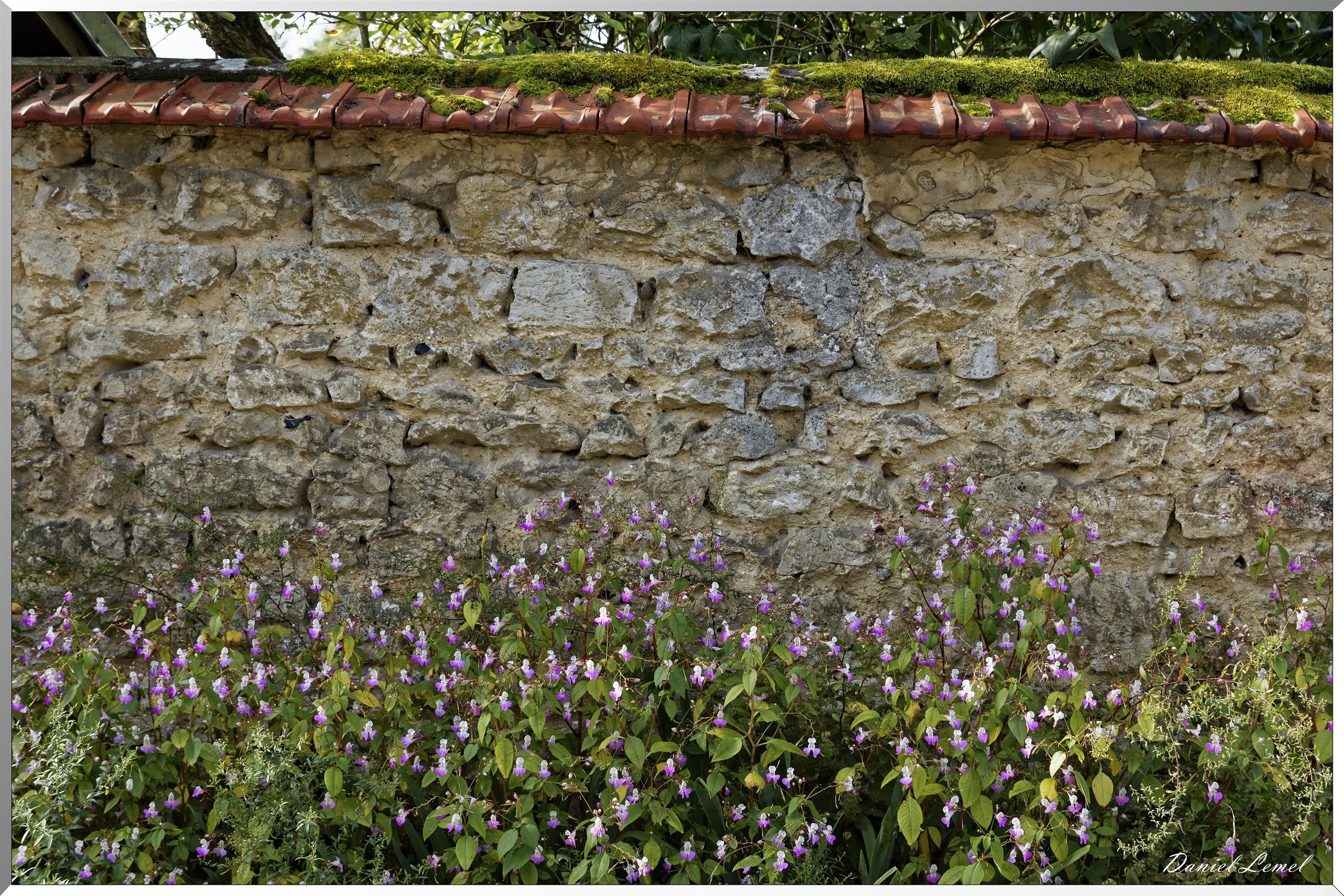 Giverny