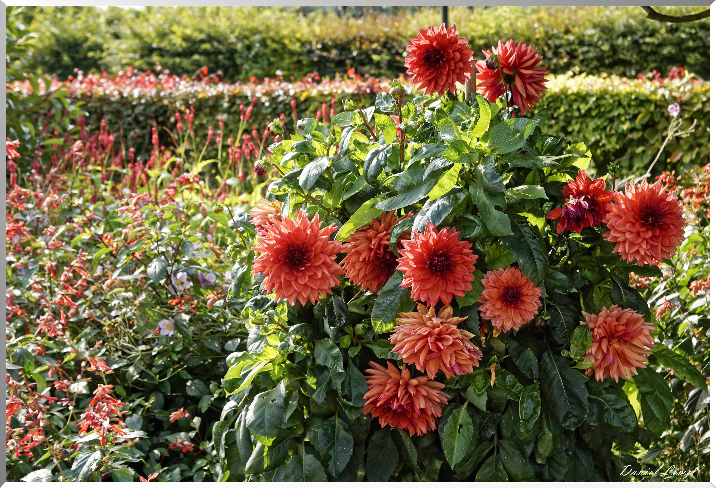 Giverny