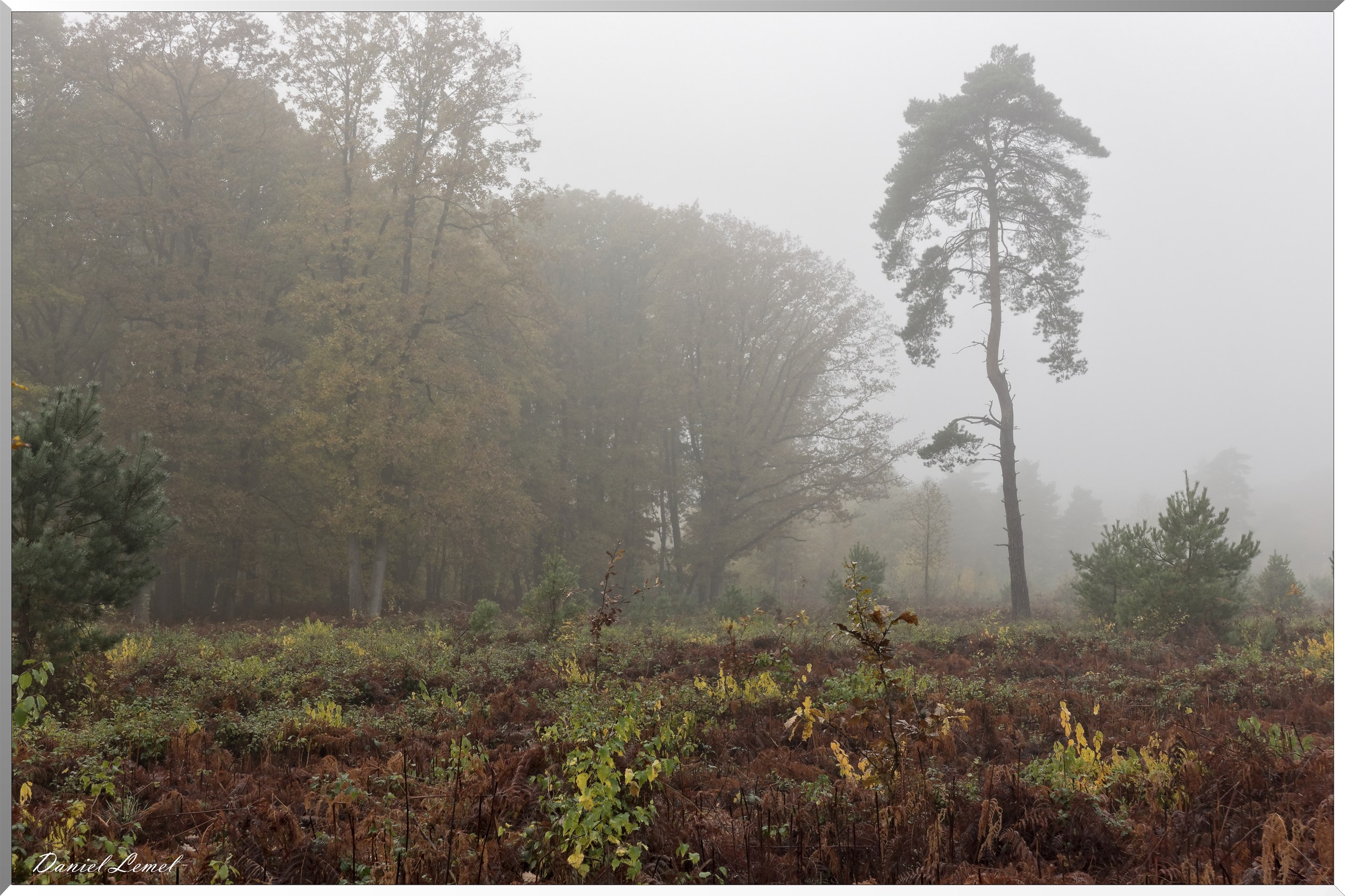 Vernon - Forêt du LRBA