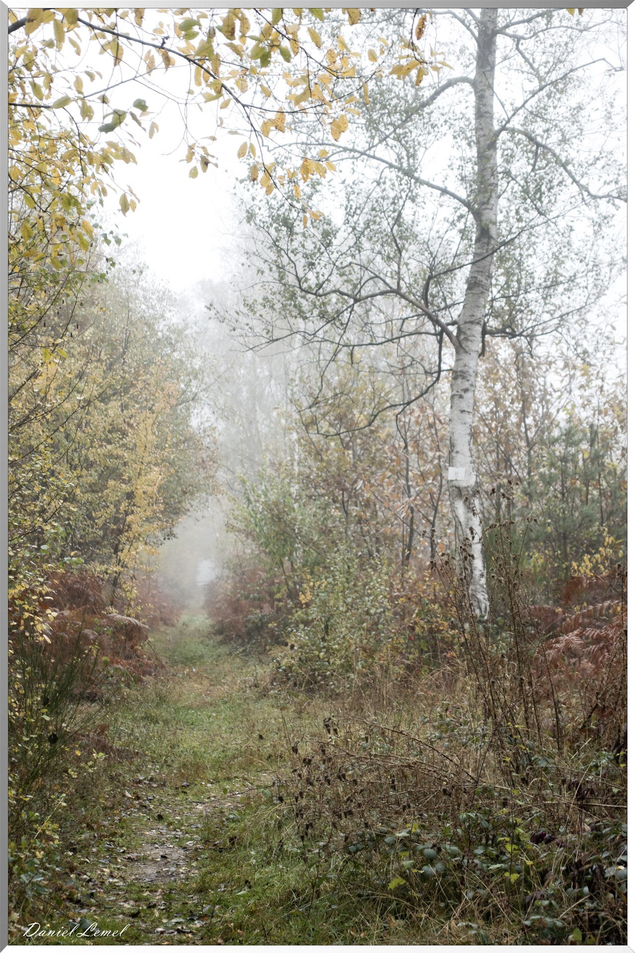 Vernon - Forêt du LRBA