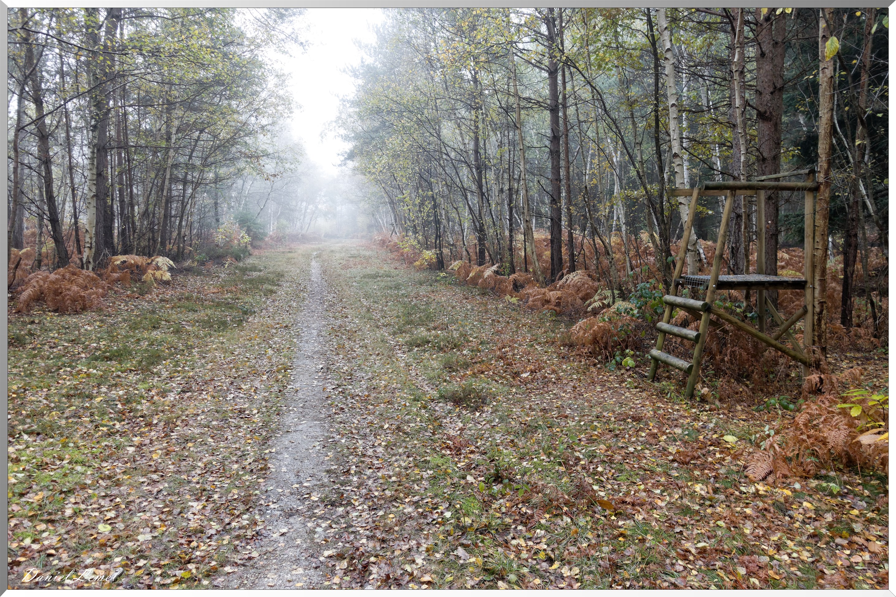 Vernon - Forêt du LRBA