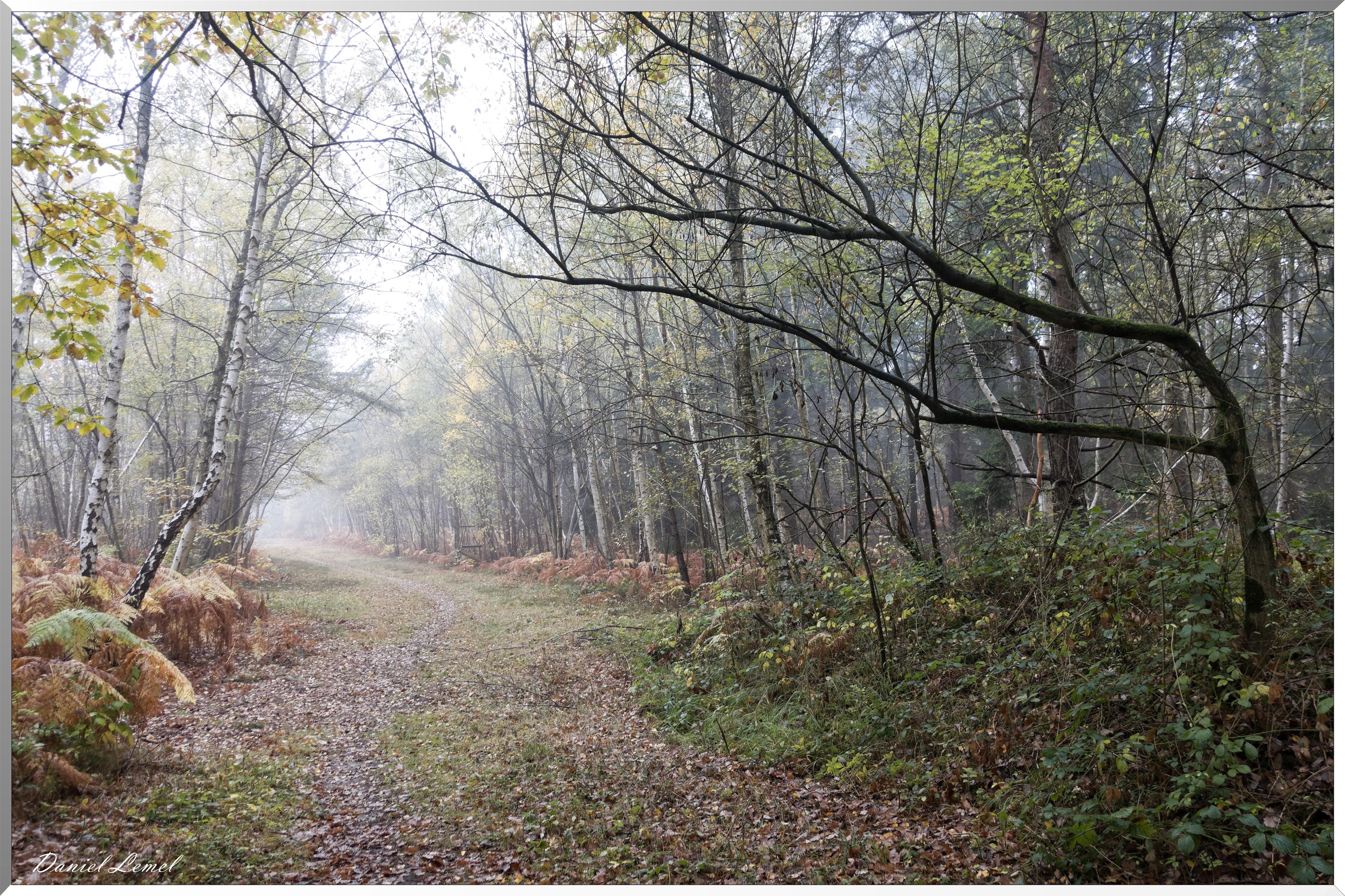 Vernon - Forêt du LRBA