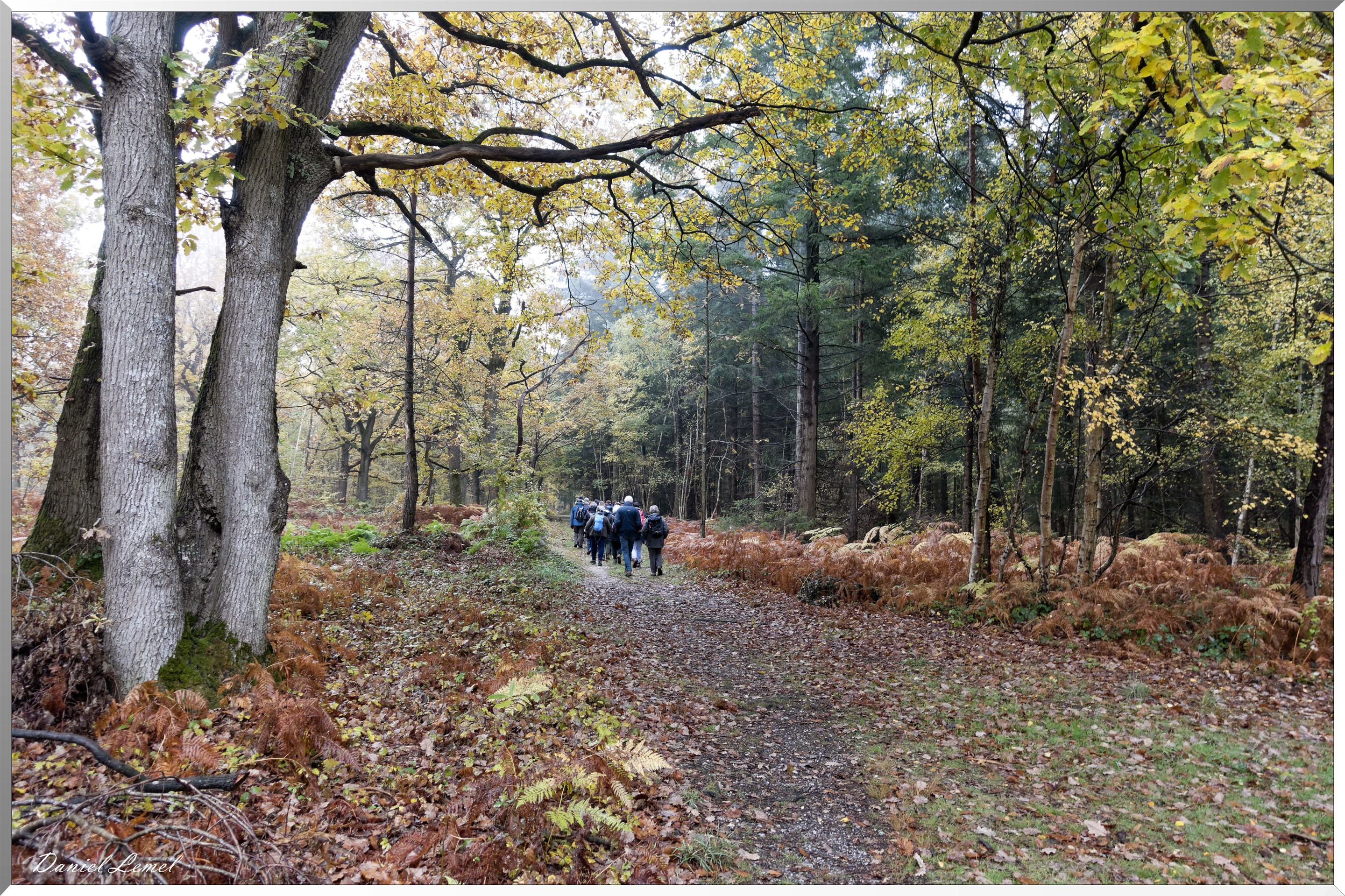 Vernon - Forêt du LRBA