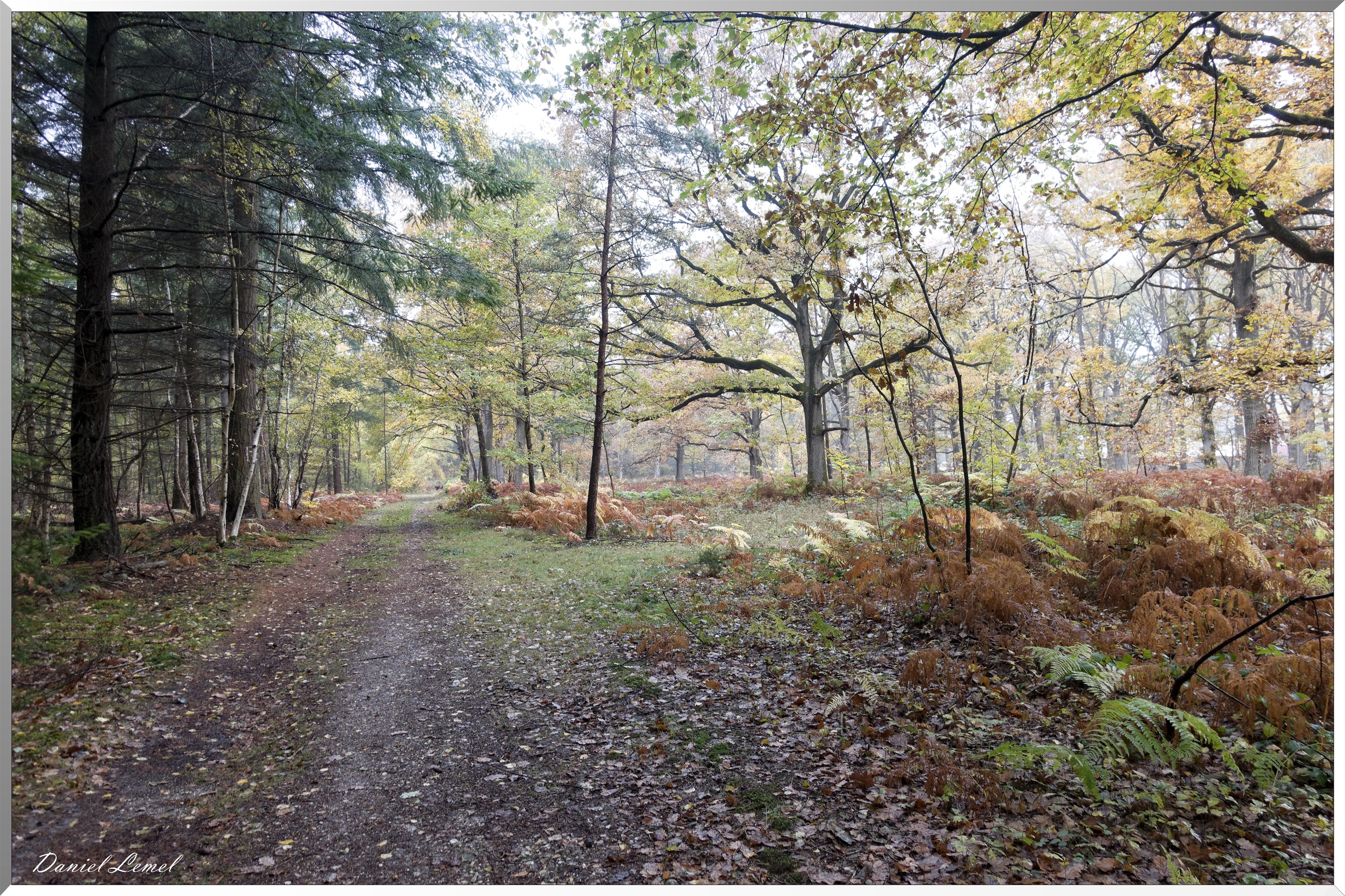 Vernon - Forêt du LRBA
