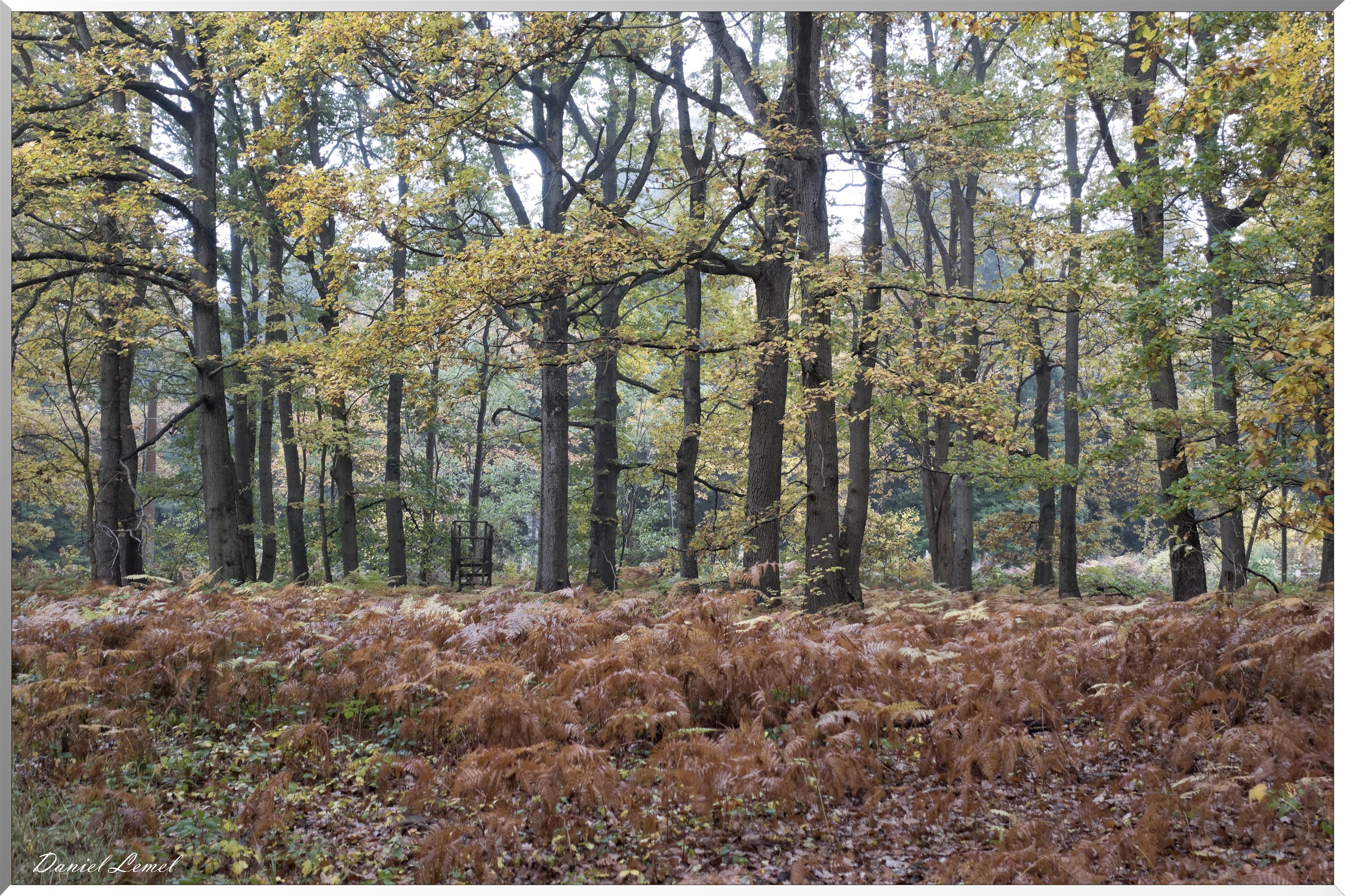 Vernon - Forêt du LRBA