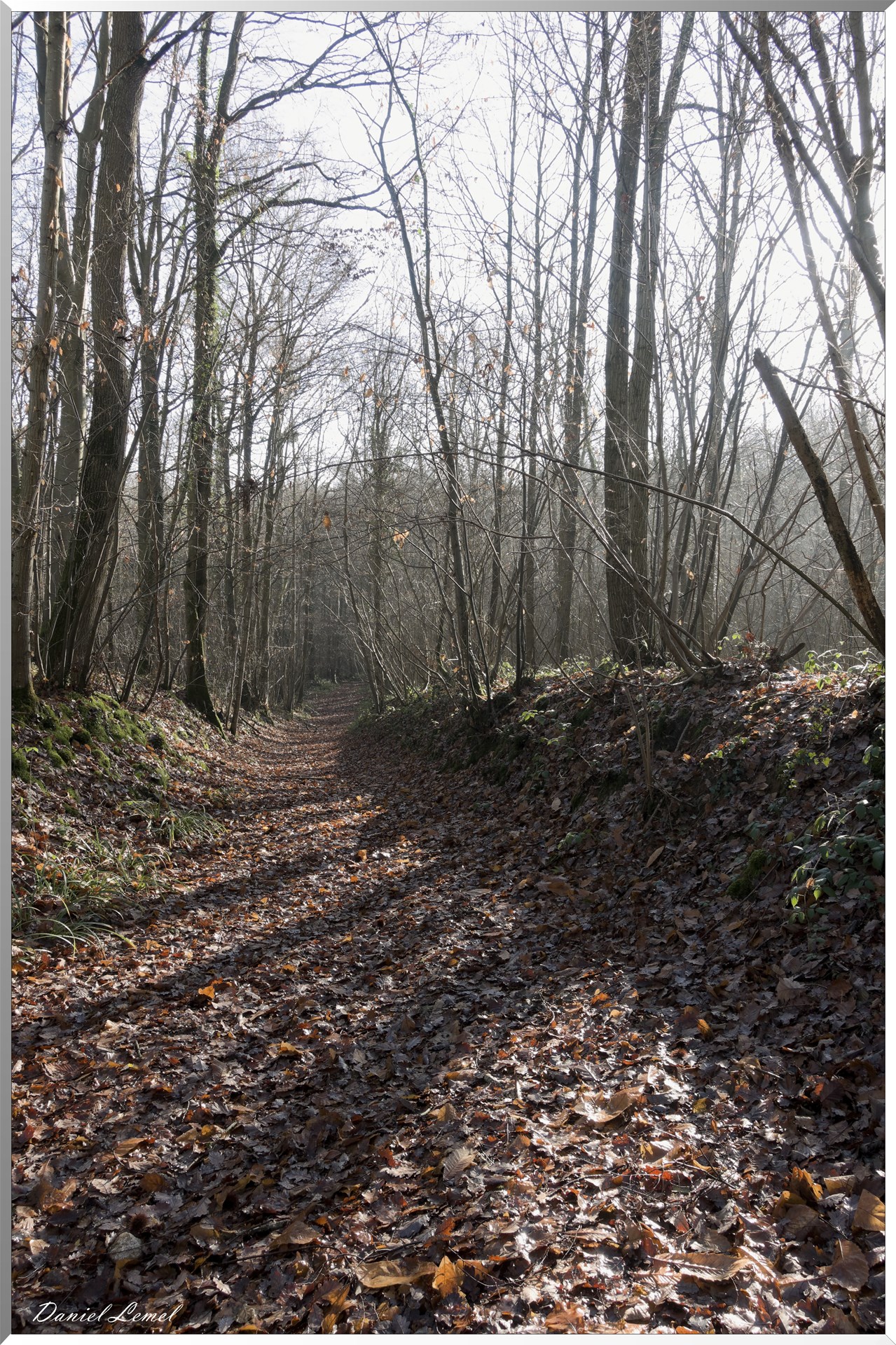 Saint-Aubin-sur-Gaillon