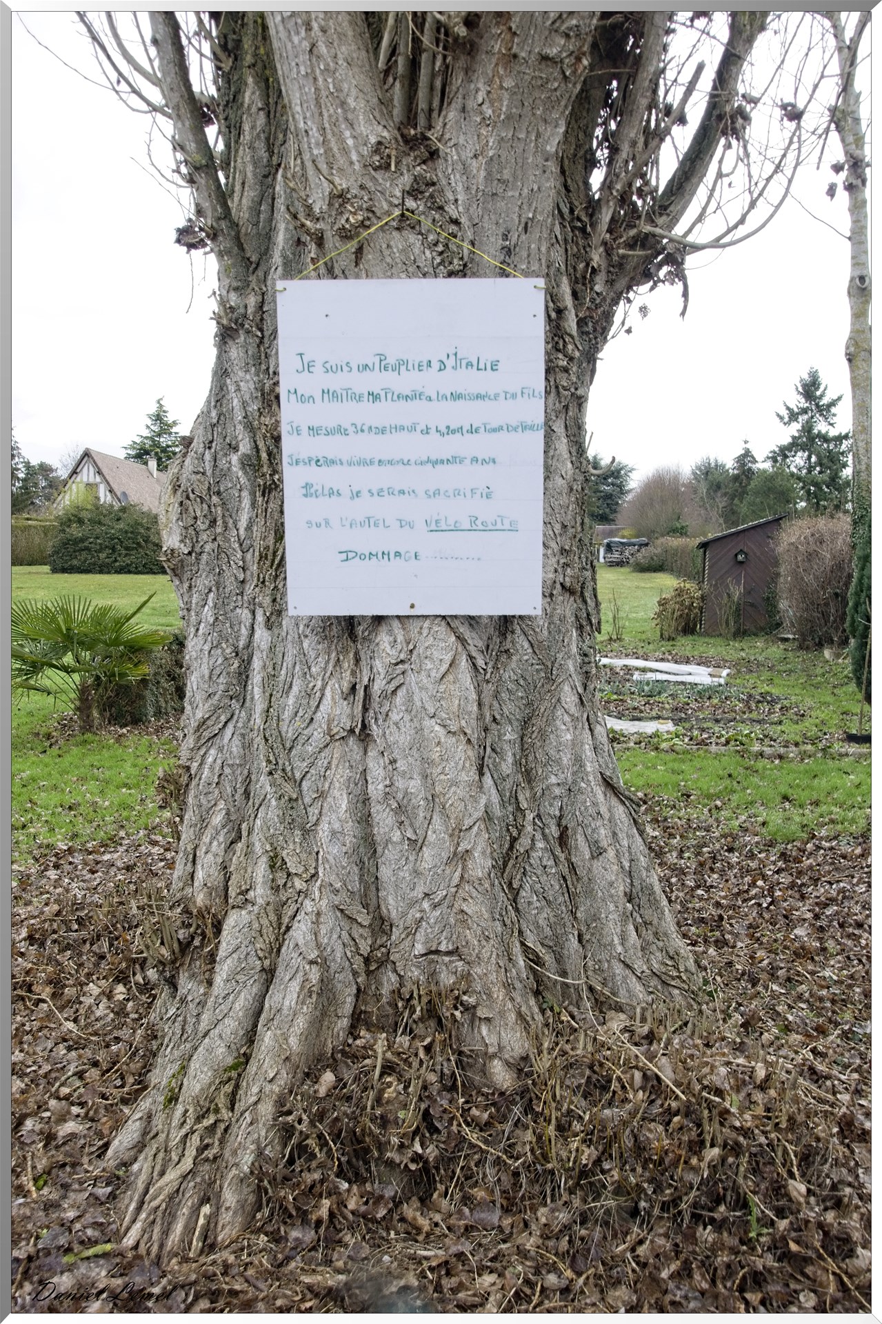 Pressagny l'orgueilleux