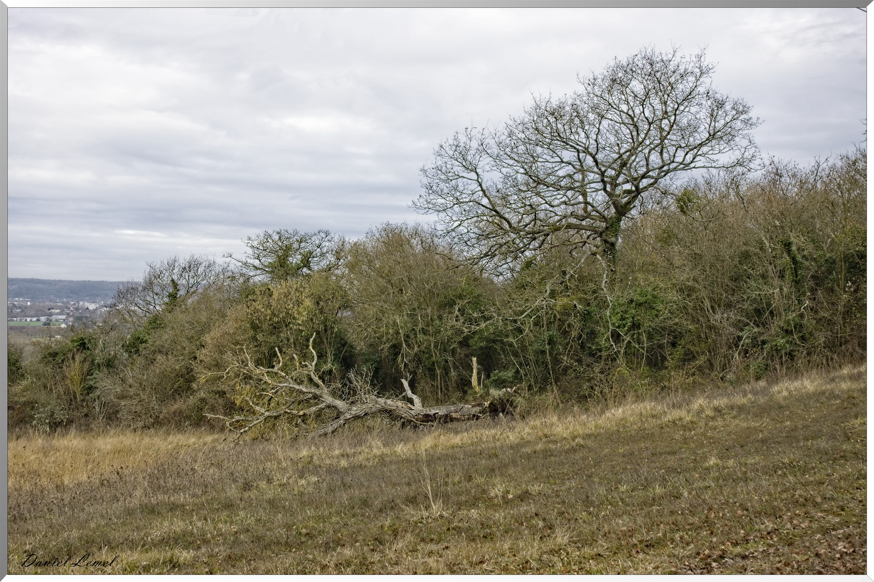 Pressagny l'orgueilleux