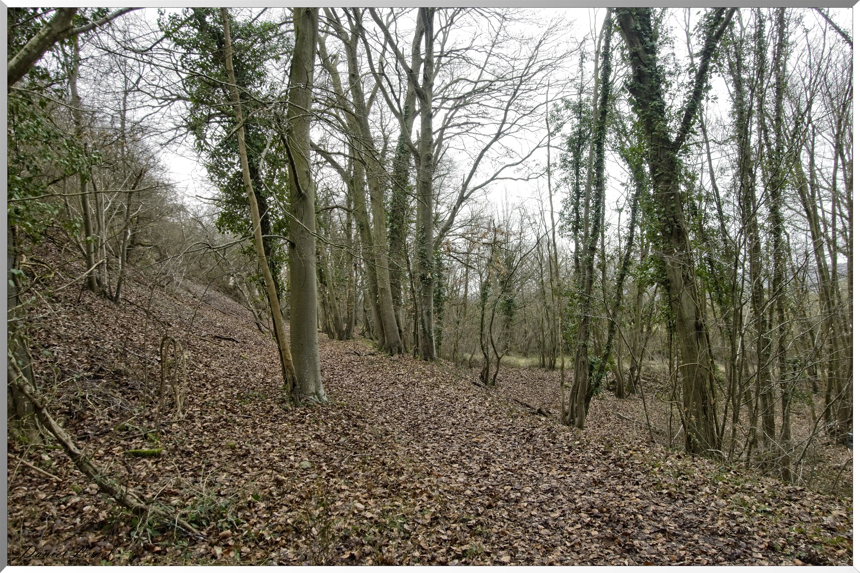 Pressagny l'orgueilleux