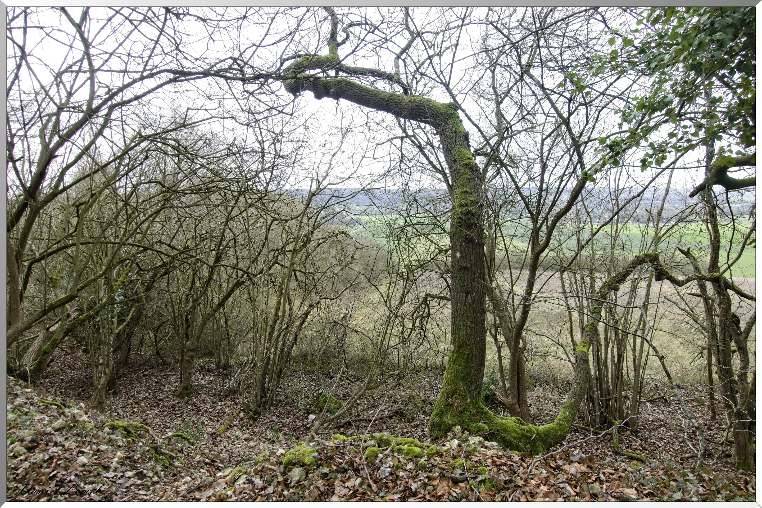 Pressagny l'orgueilleux