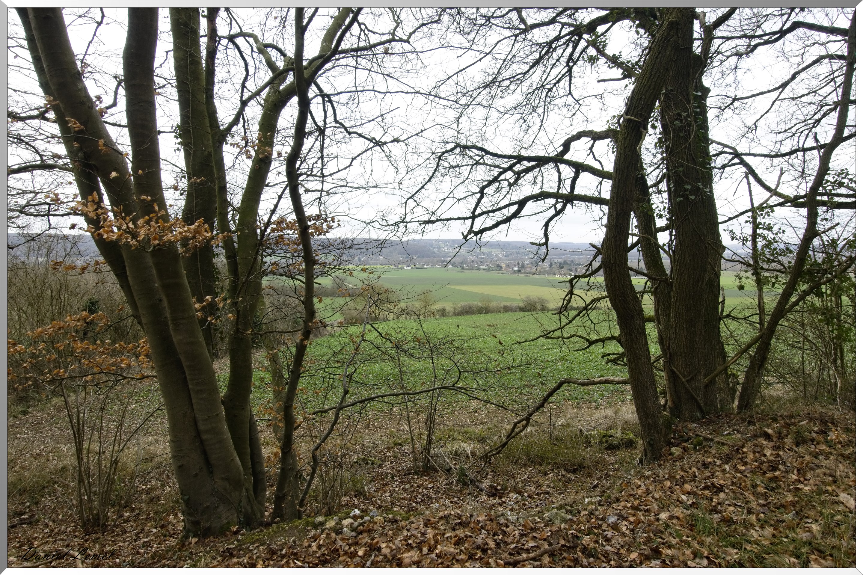 Pressagny l'orgueilleux
