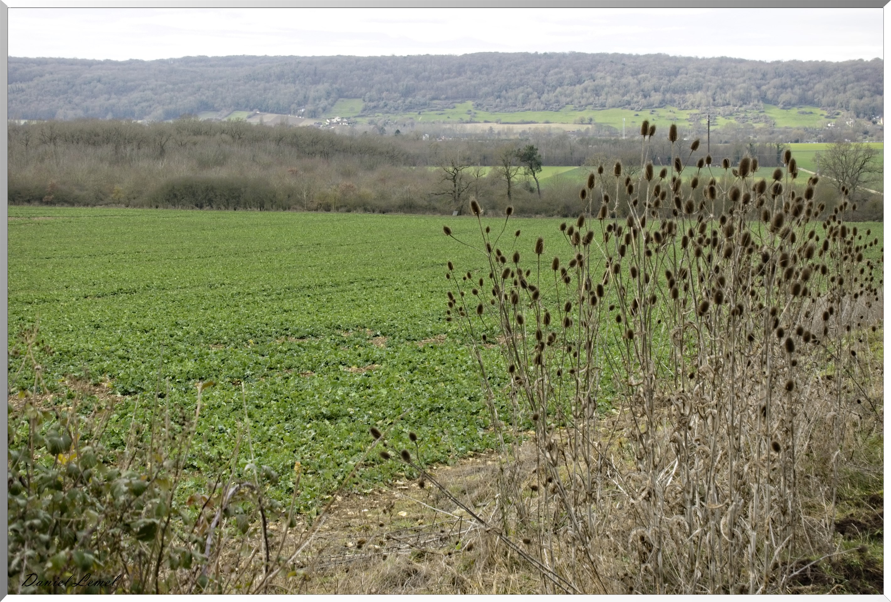 Pressagny l'orgueilleux
