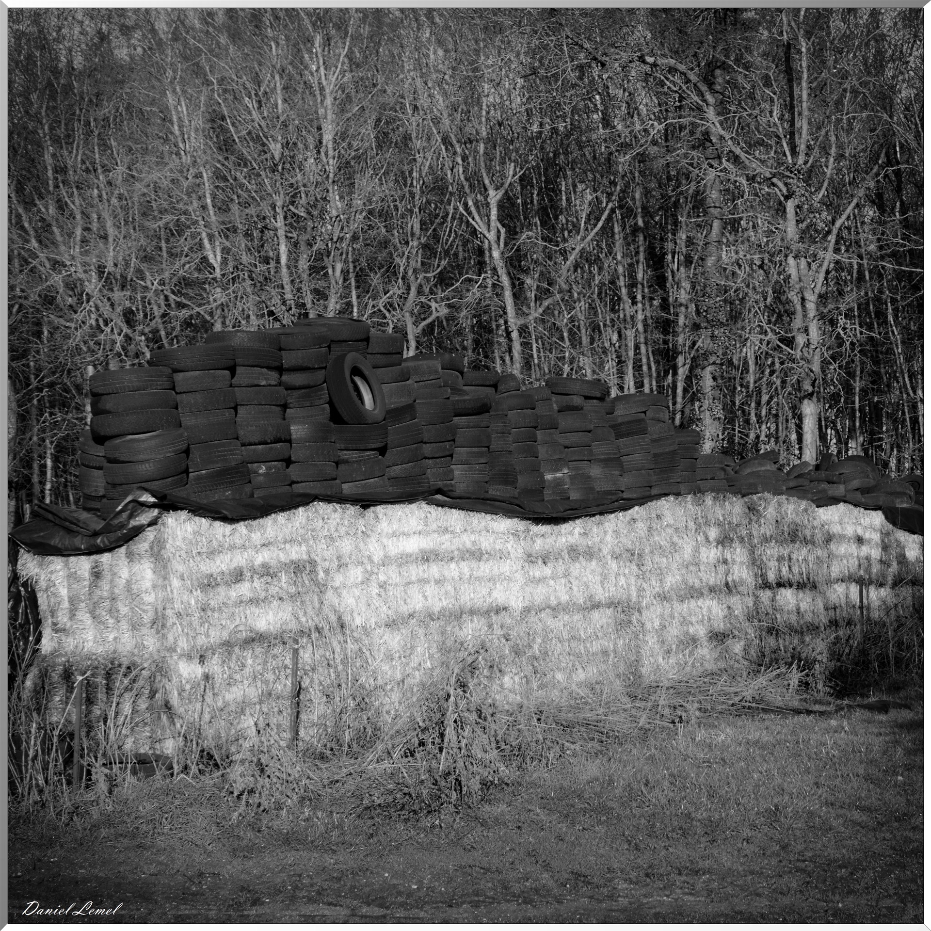 Bois-Jérôme-Saint-Ouen