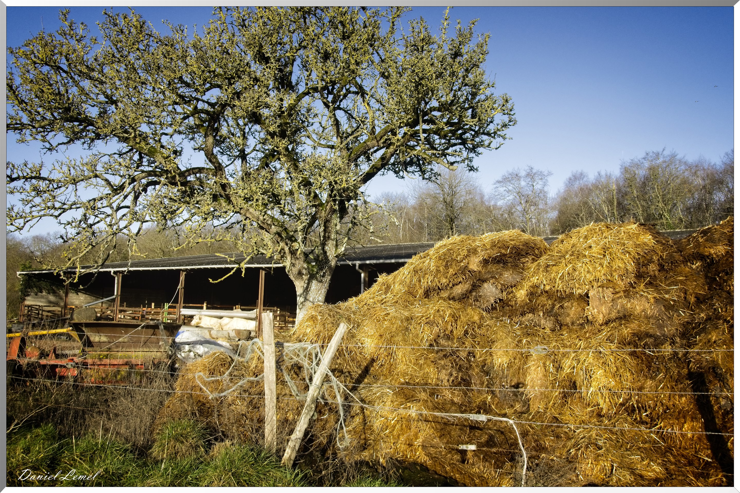 Bois-Jérôme-Saint-Ouen