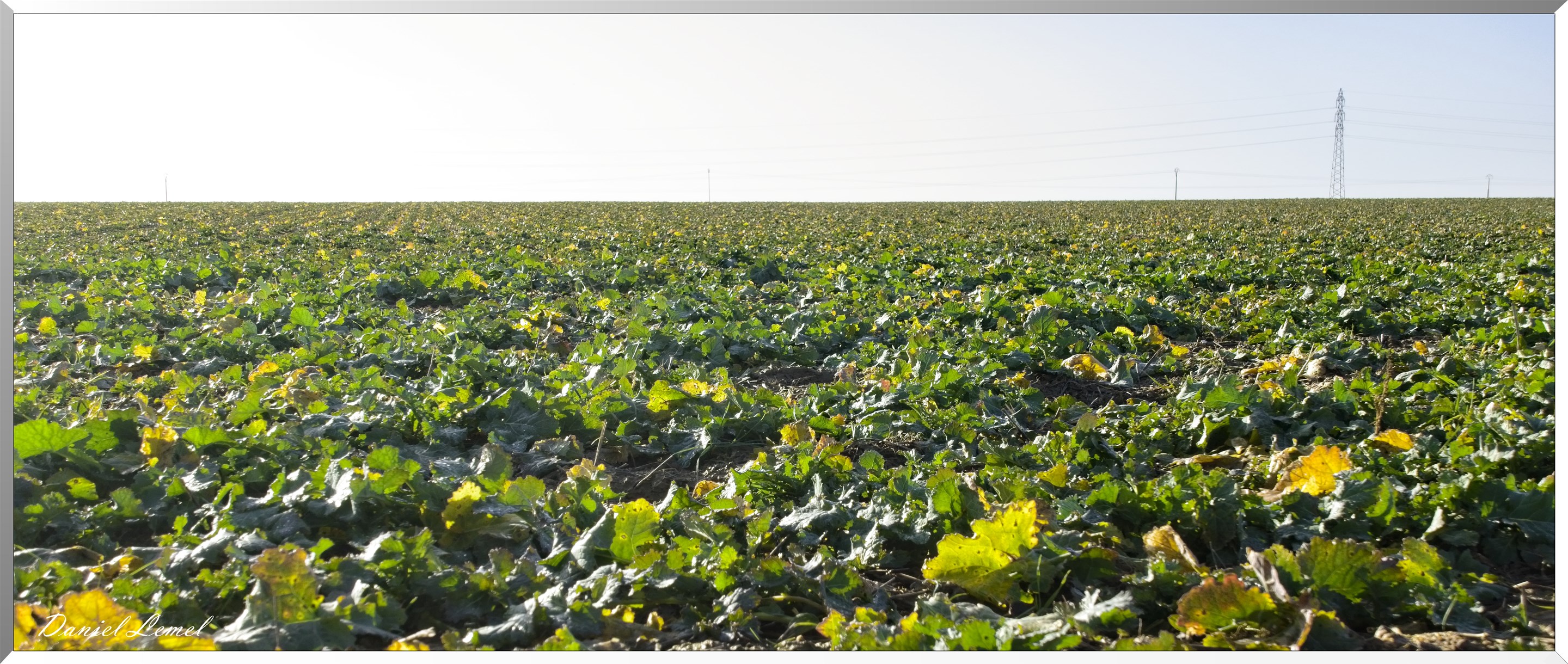 Bois-Jérôme-Saint-Ouen