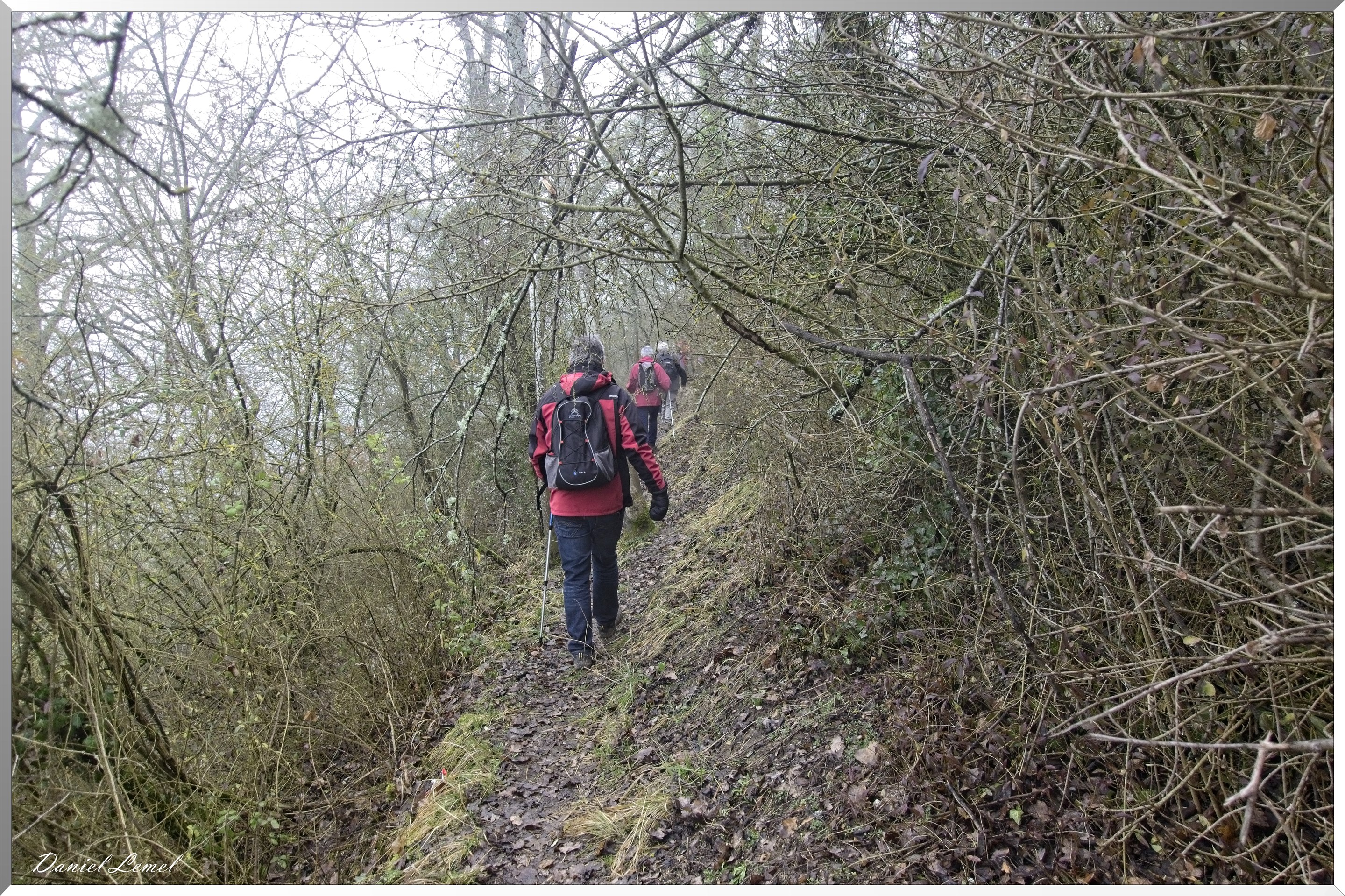 Saint-Geneviève-les-Gasny