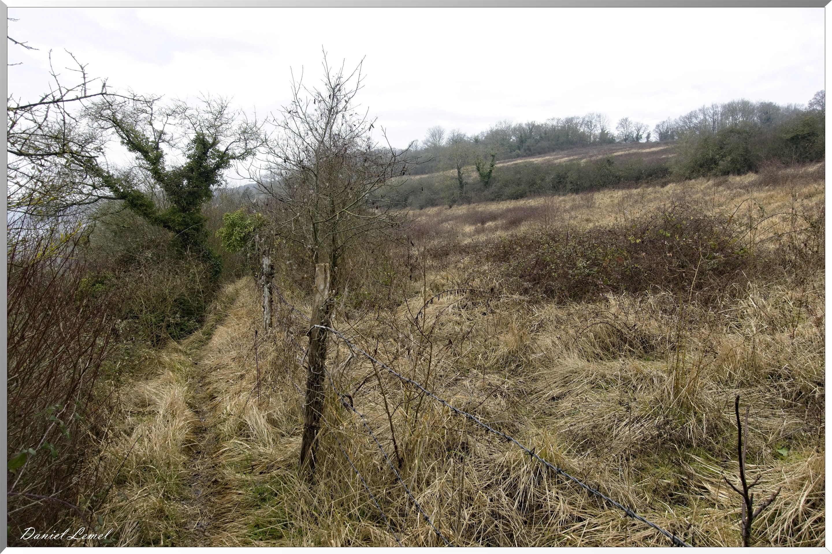 Saint-Geneviève-les-Gasny