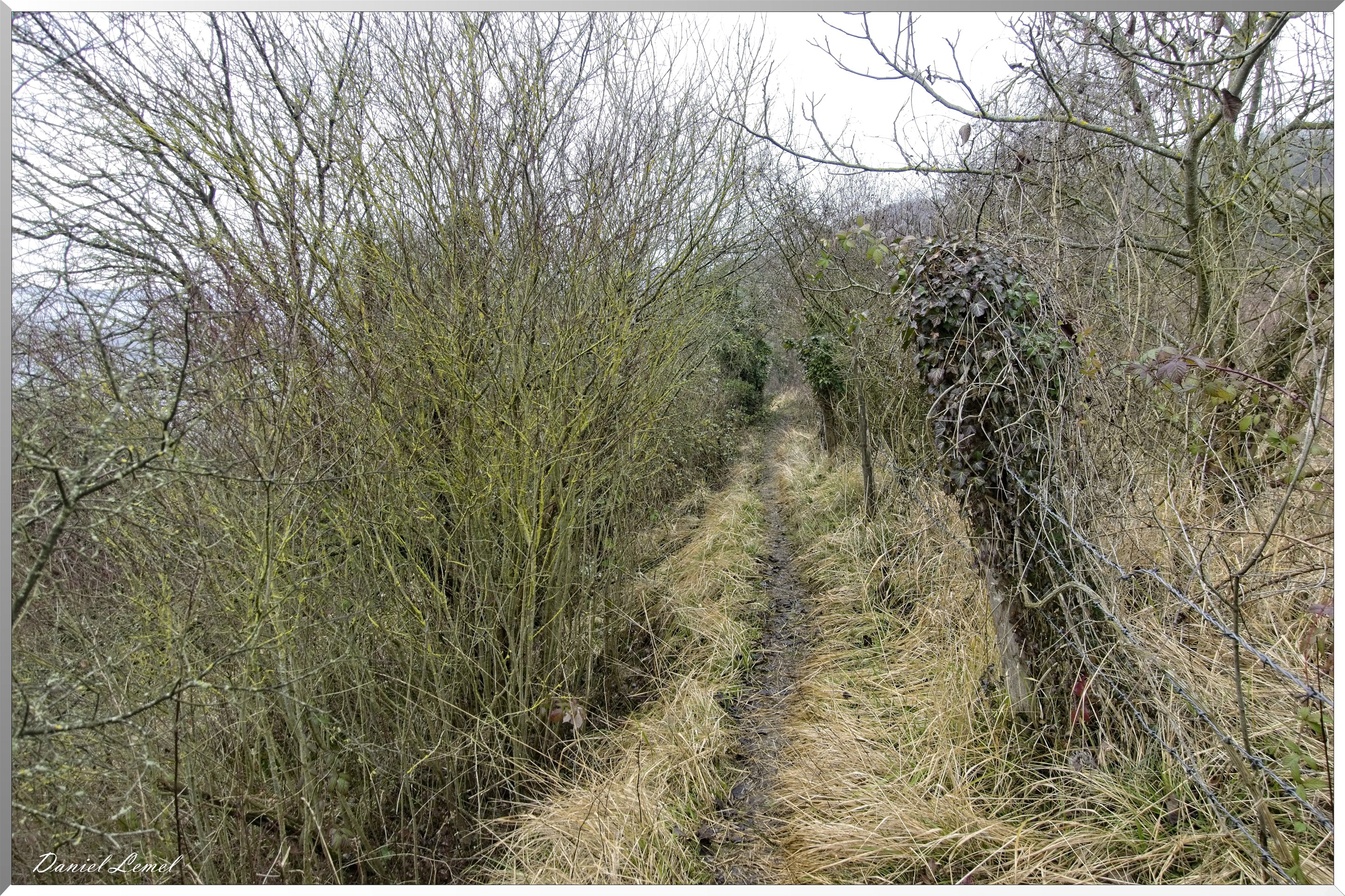 Saint-Geneviève-les-Gasny