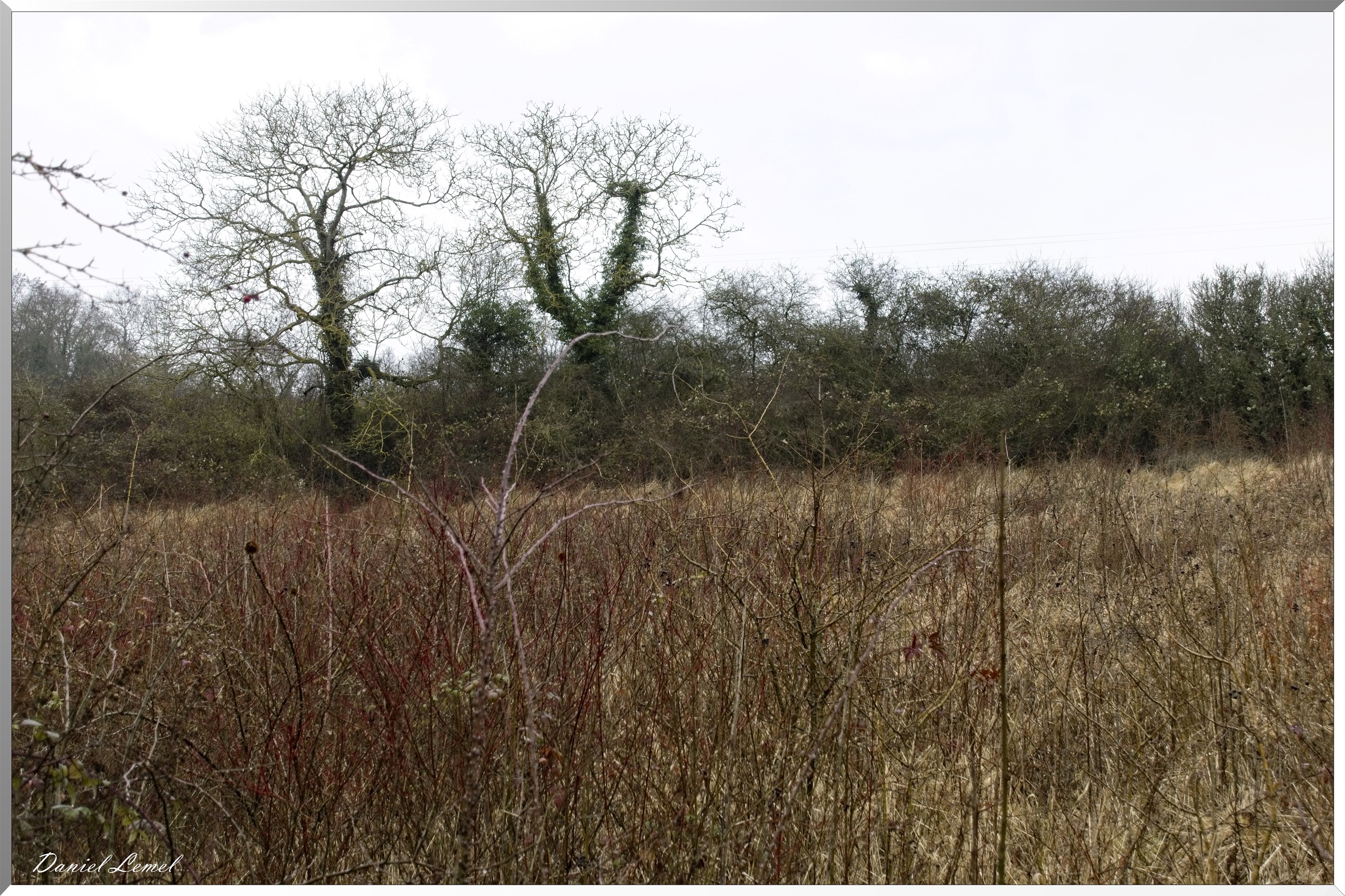 Saint-Geneviève-les-Gasny