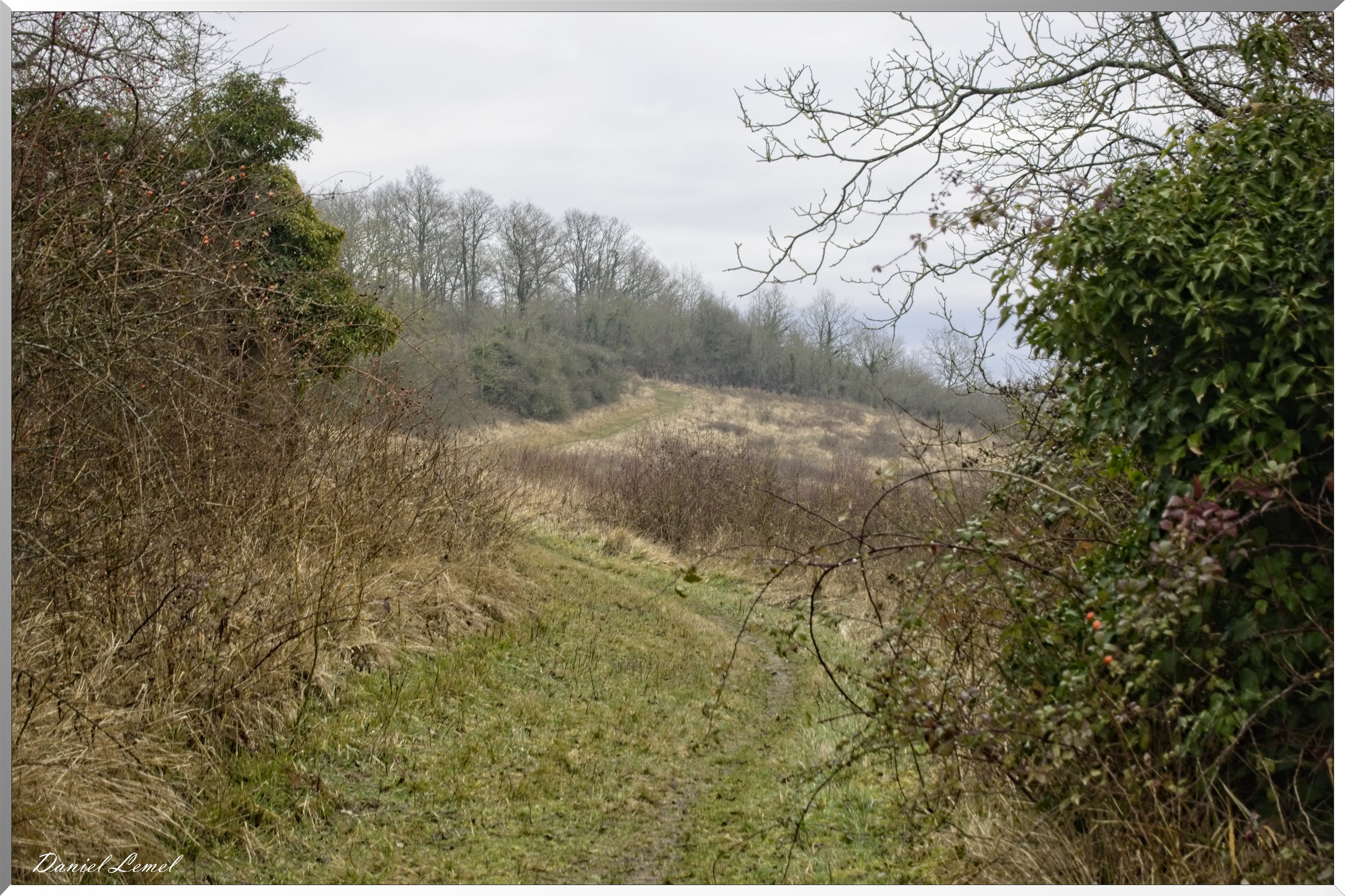 Saint-Geneviève-les-Gasny