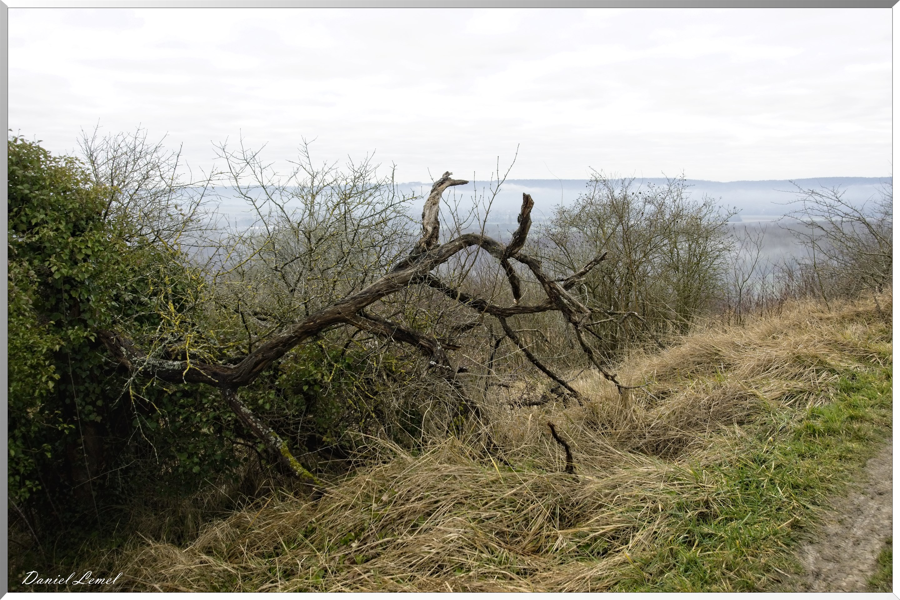 Saint-Geneviève-les-Gasny
